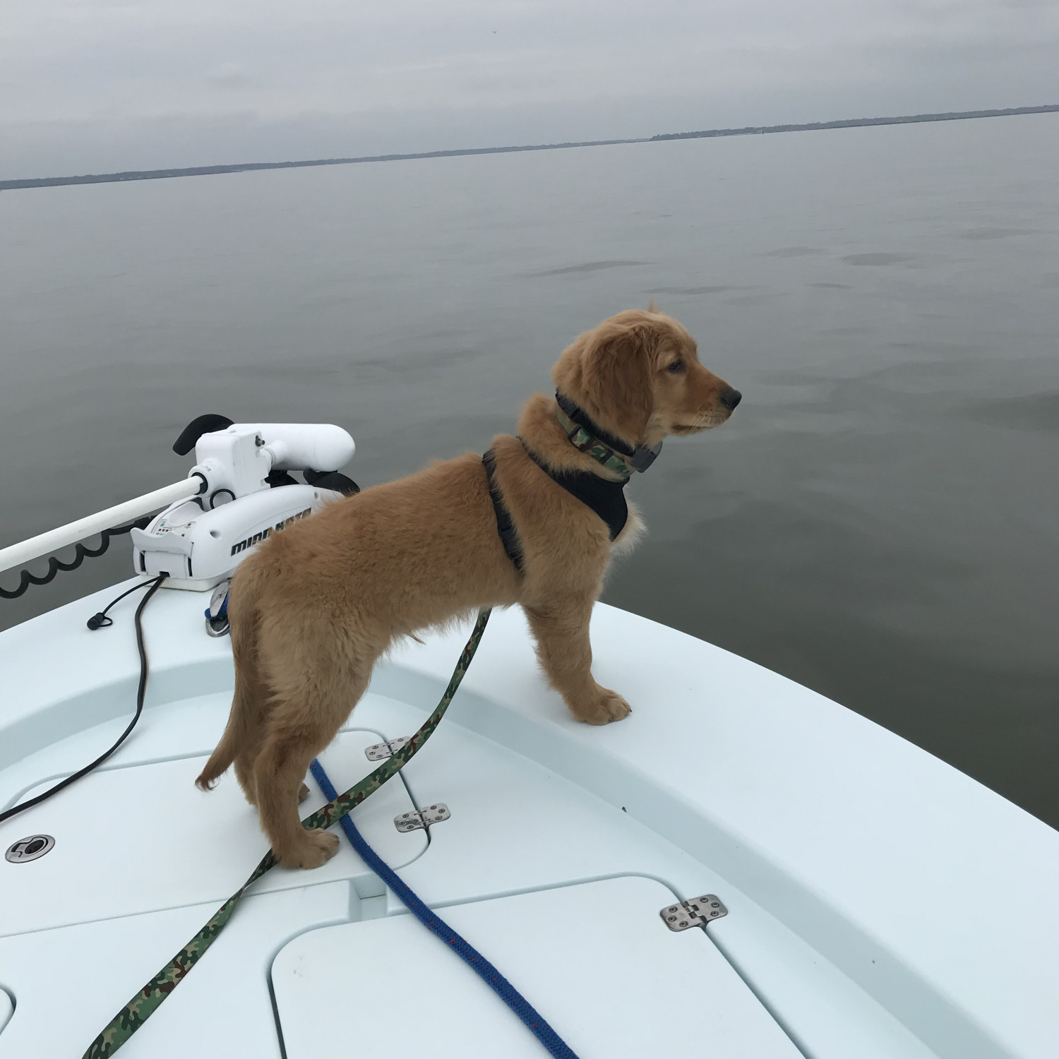 Our new GR Rebel’s first boat ride on our Masters 227