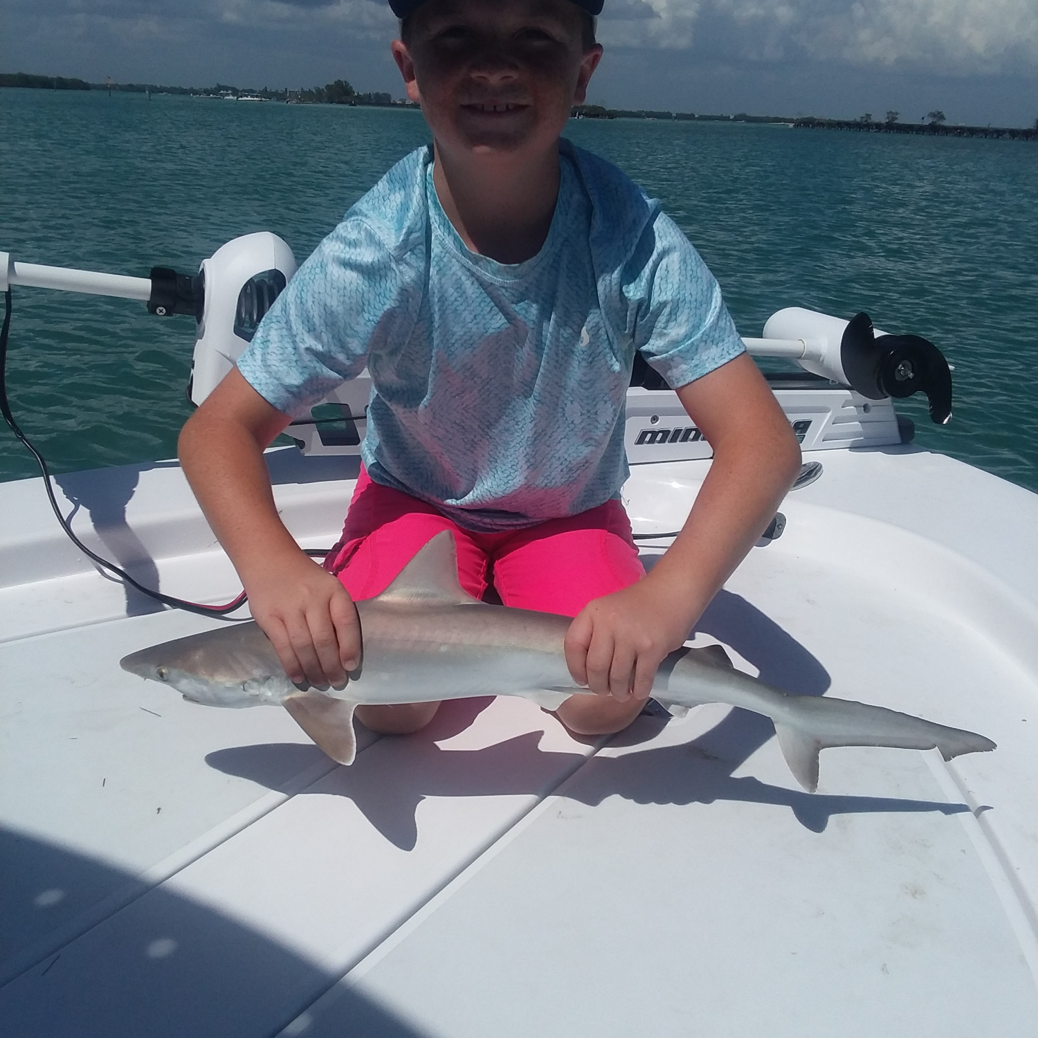 Caught a shark in Gasparilla Island