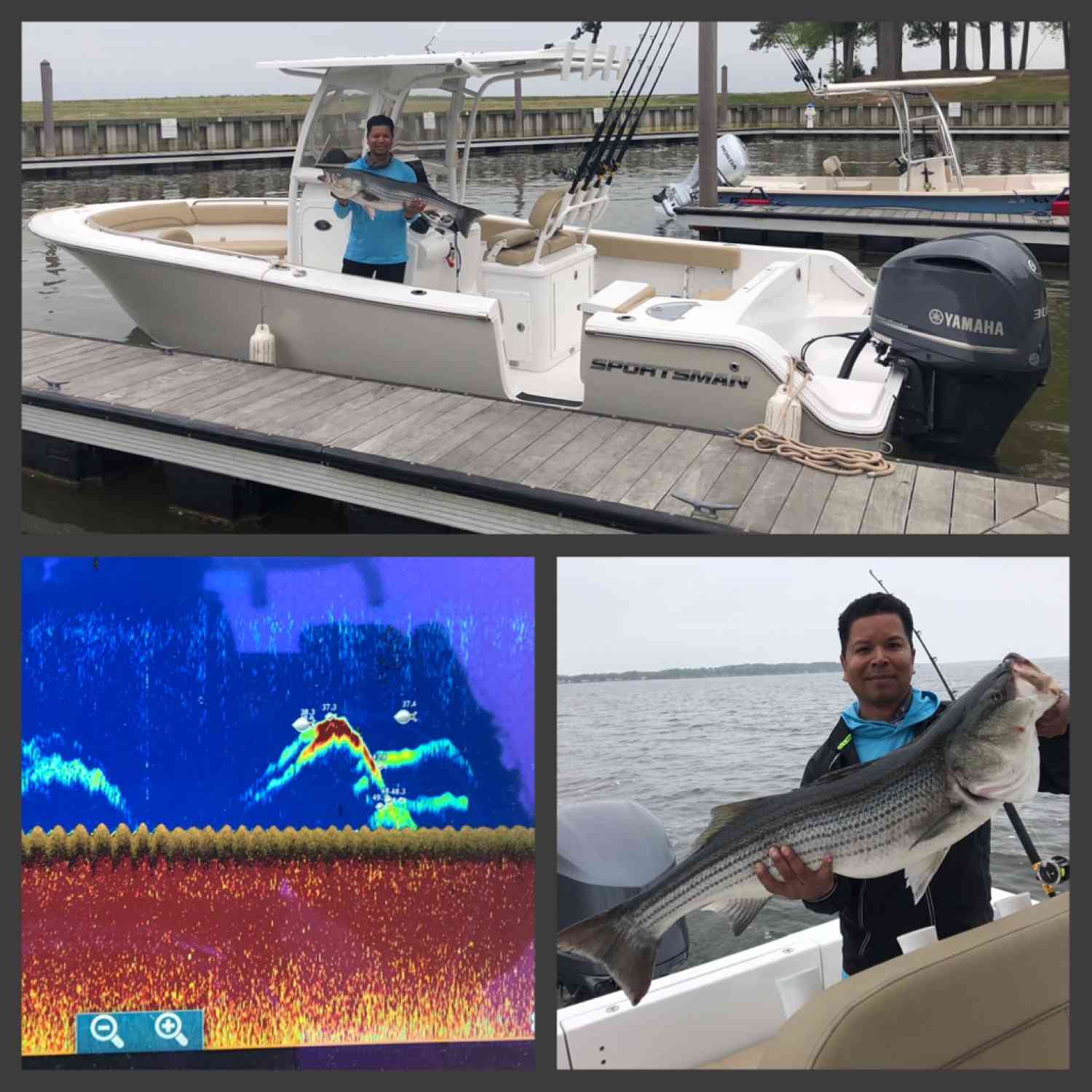 47" Citation Trophy Chesapeake Bay Rockfish caught using SIMRAD technology