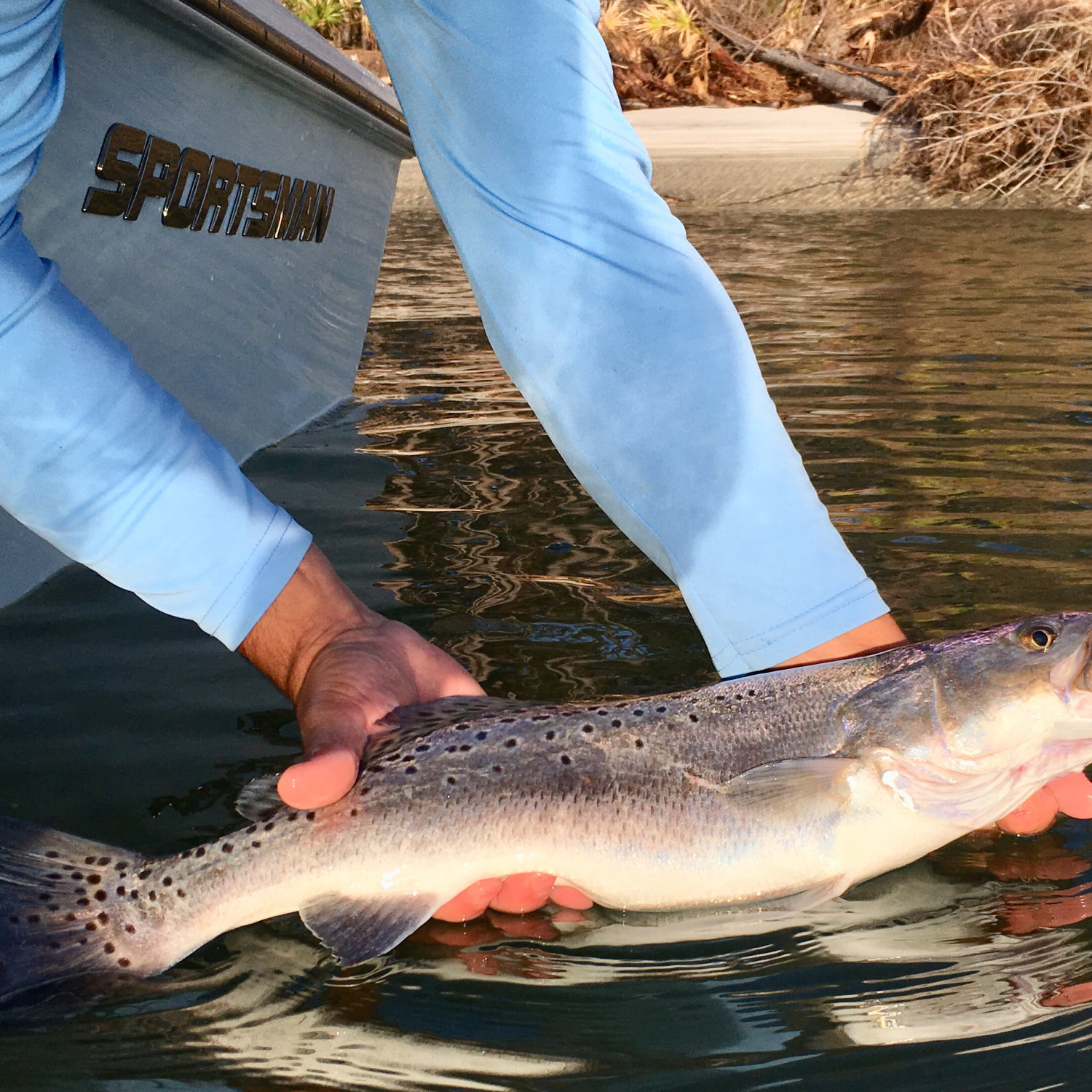 After catching this 23” speckled trout, I quickly snapped a few pictures and released her so she could spawn.