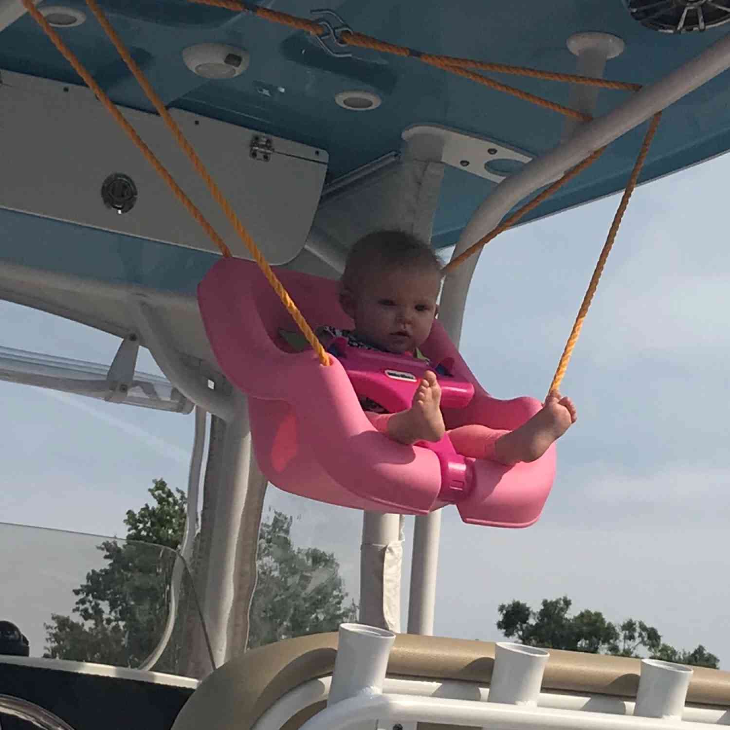 Grand baby enjoying the view from the t-too!