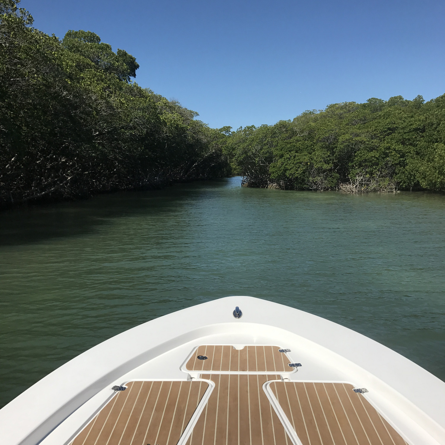 Back Country Islamorada