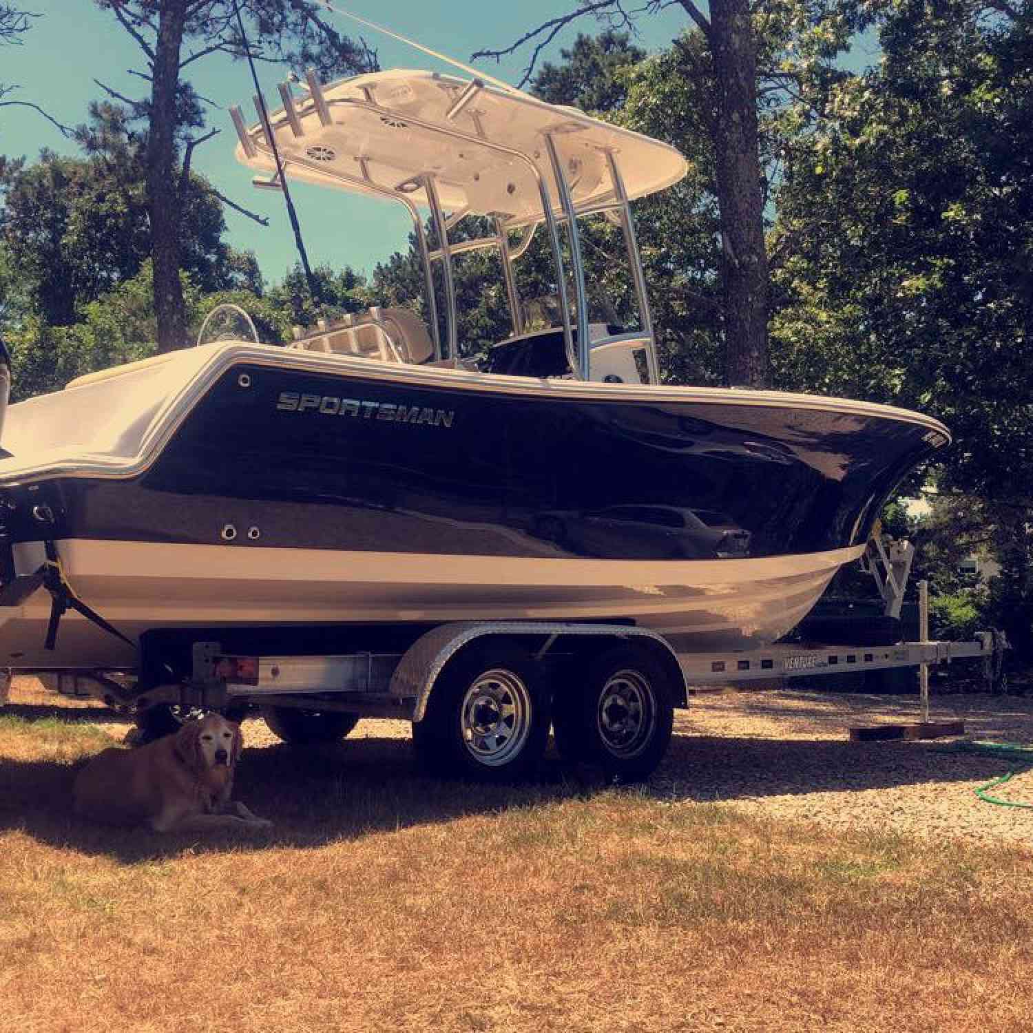 My beautiful dog resting in the shade of my beautiful boat