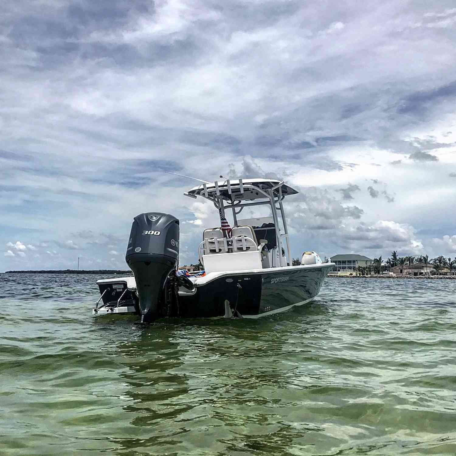 Sand bar chillin