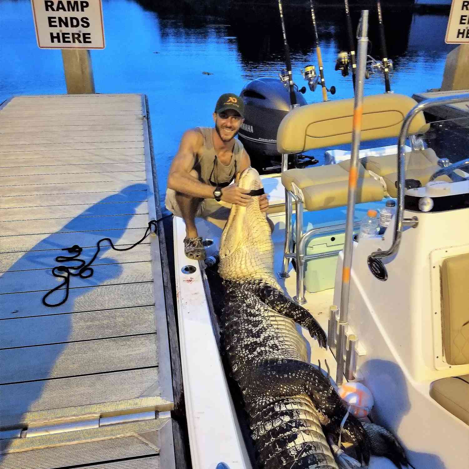 August Gator hunt produced a 10' 7" beast of a male. Was able to get him into the boat easily...