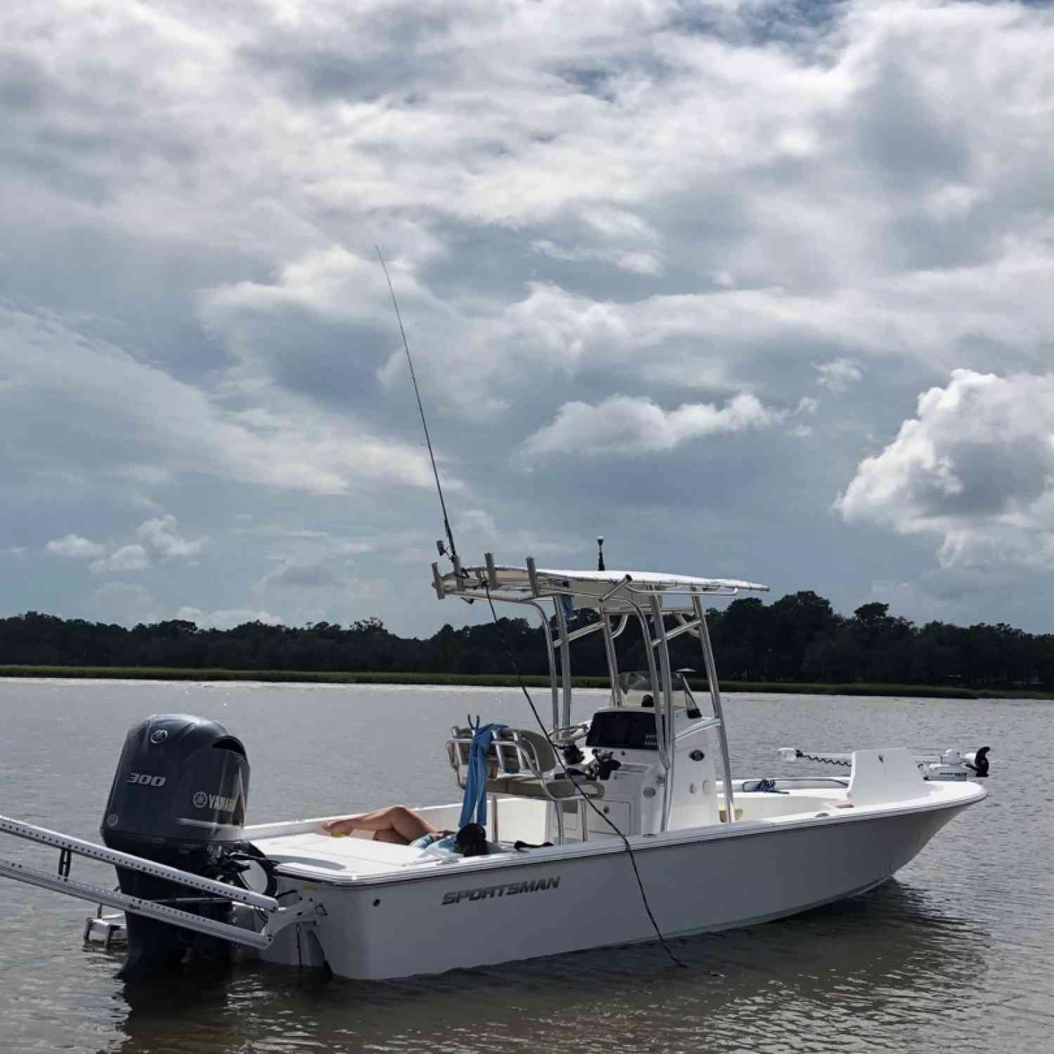 Sandbar sunbathing