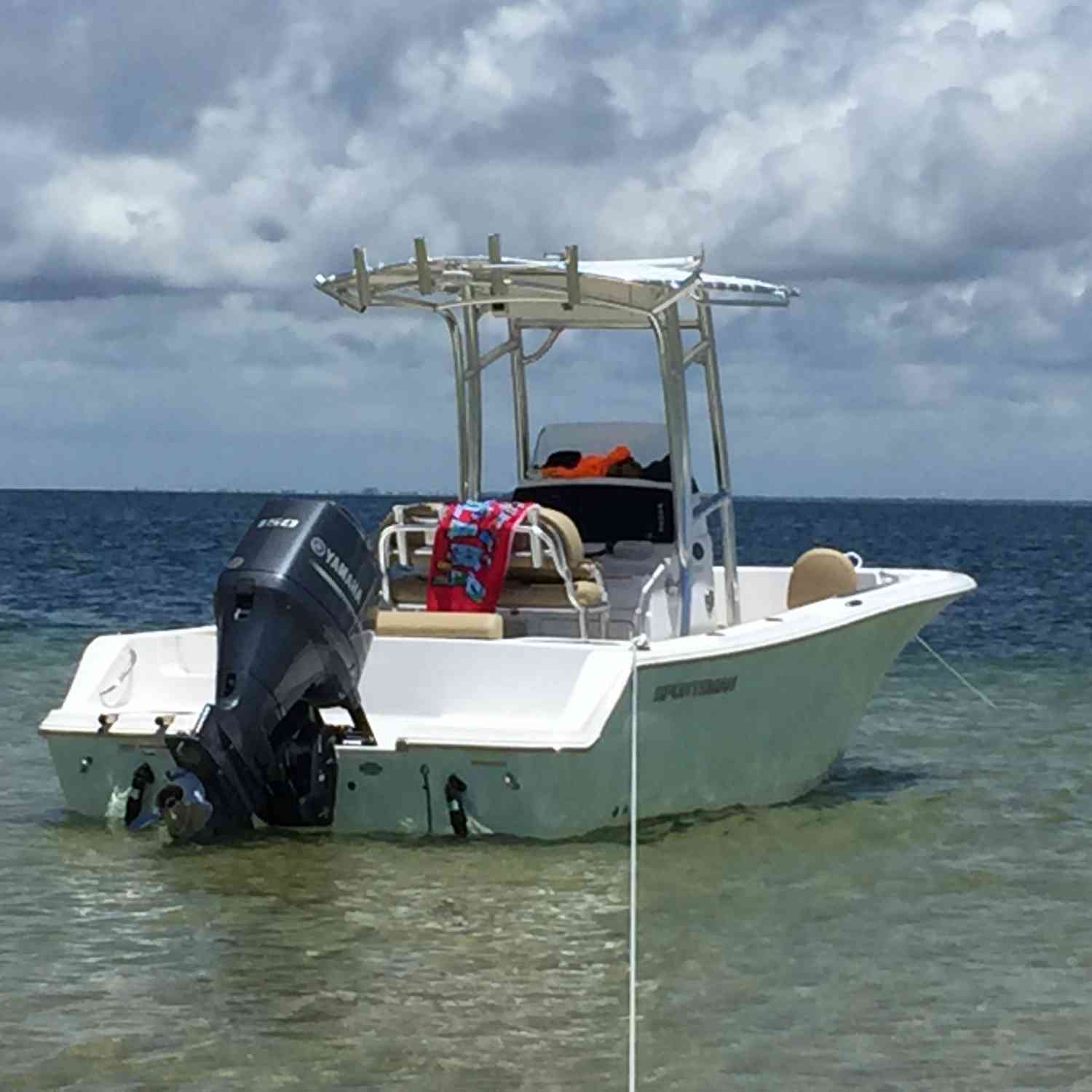 Second day of owning the boat, first trip 8 miles offshore to Horn island