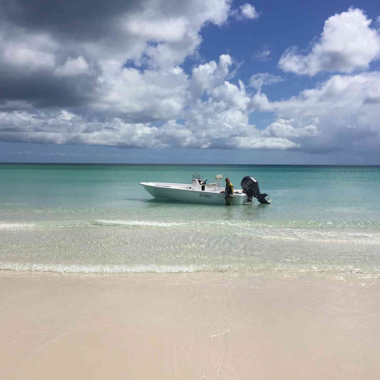 In the shallows off Fraser Island.