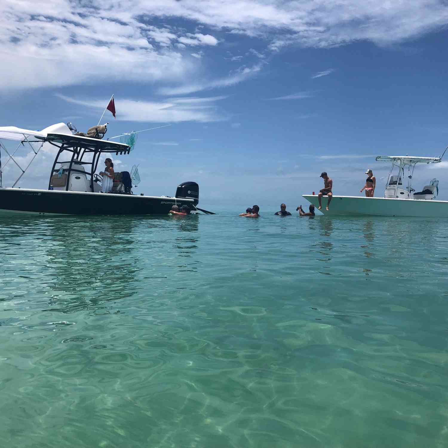 Just hanging out on a sand bar