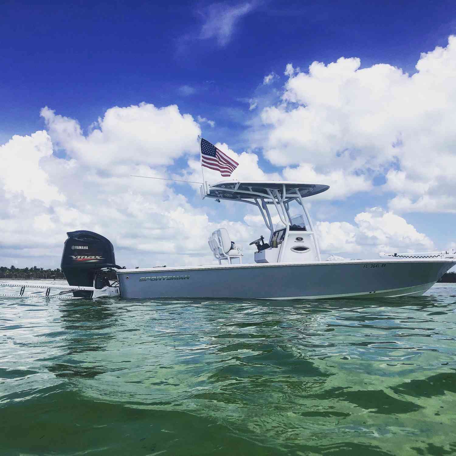 Lazy day on the sandbar