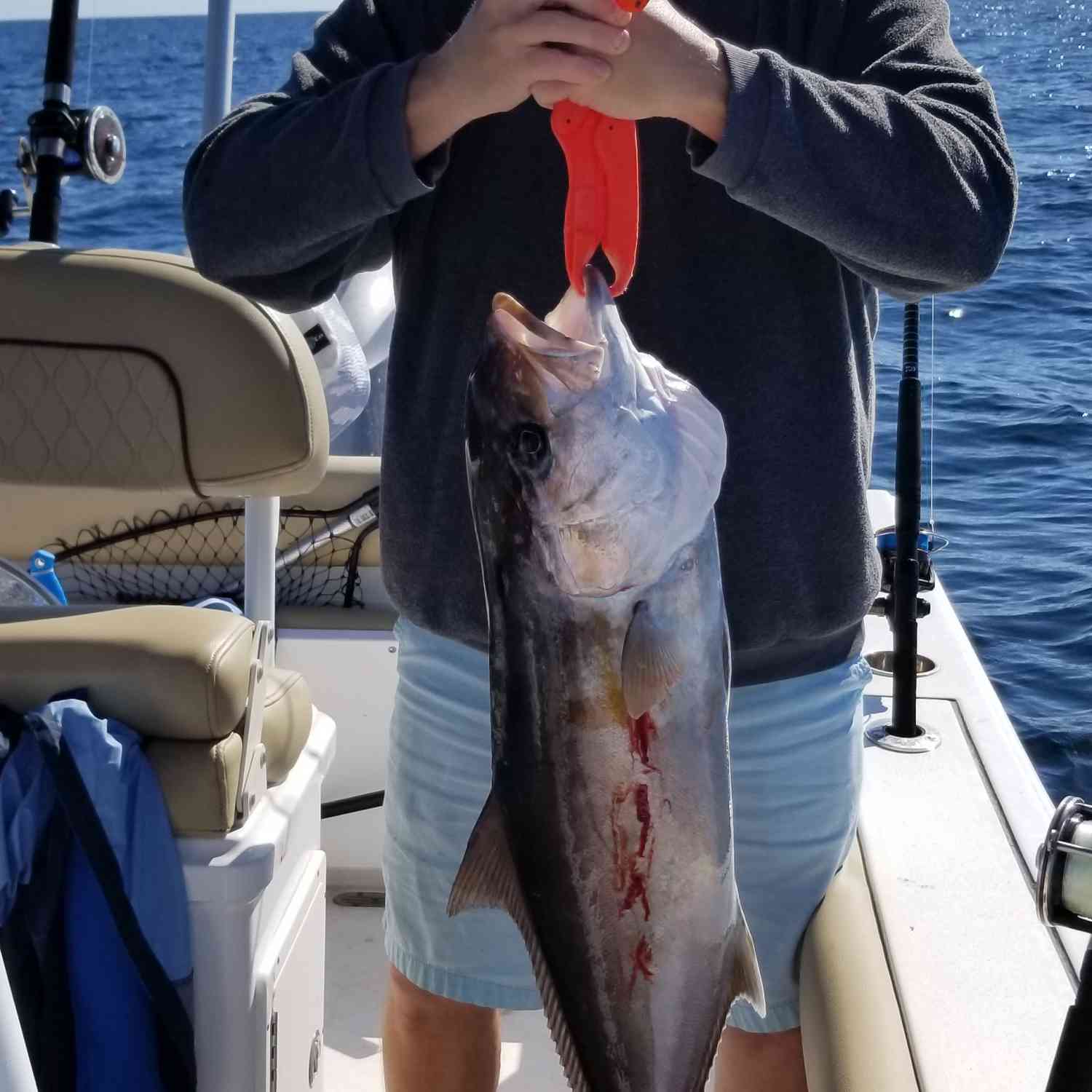 Title: Amberjack Slayer - On board their Sportsman Open 242 Center Console - Location: Pensacola, Florida. Participating in the Photo Contest #SportsmanMay2019