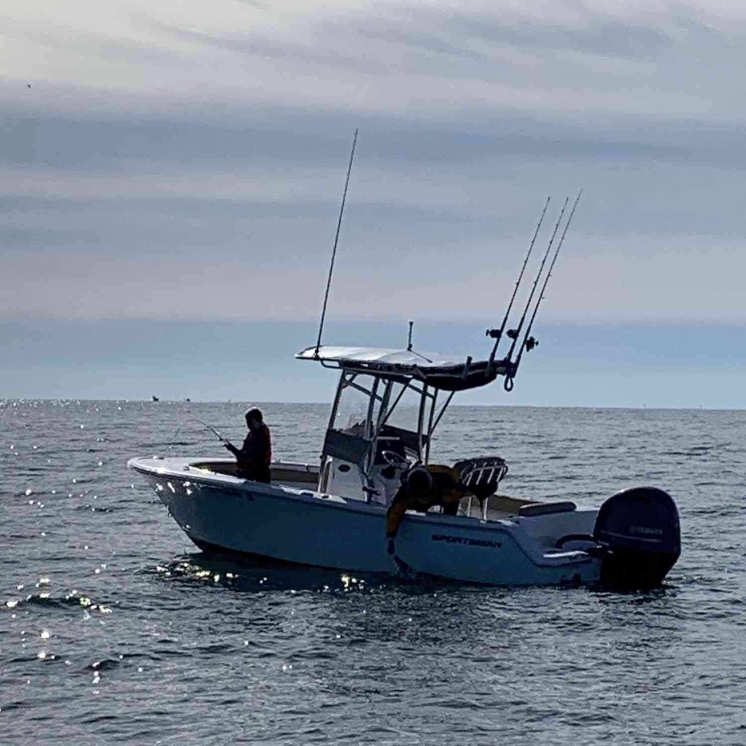 Striped bass frenzy