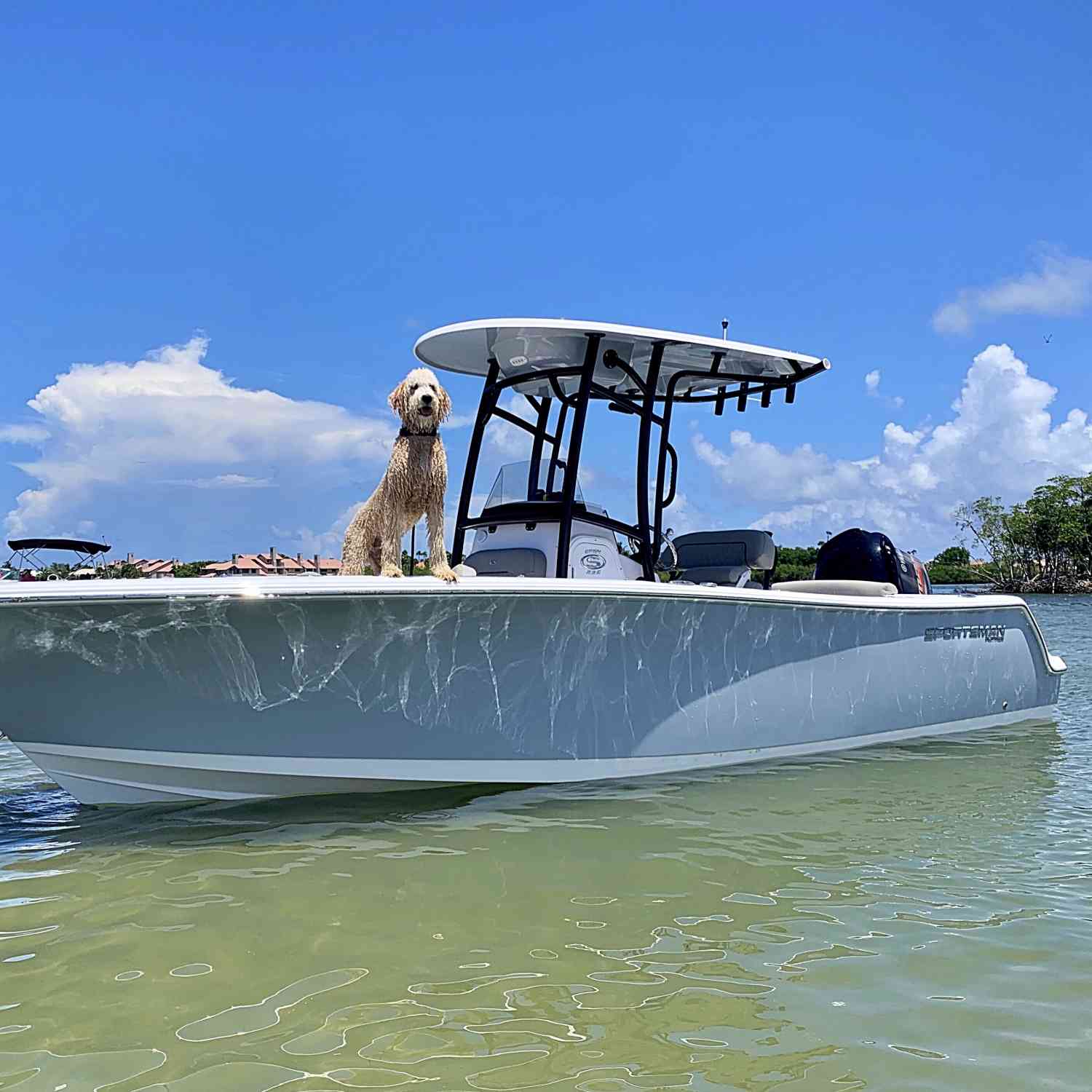 Our dood Maverick hanging out on our new Sportsman.