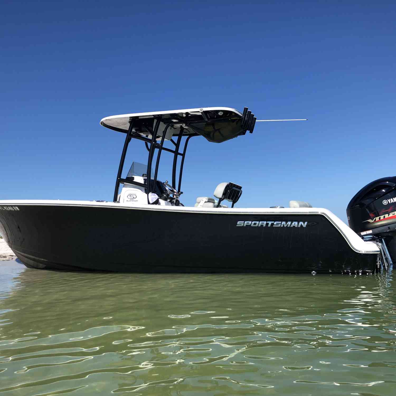 Relaxing on the gulf