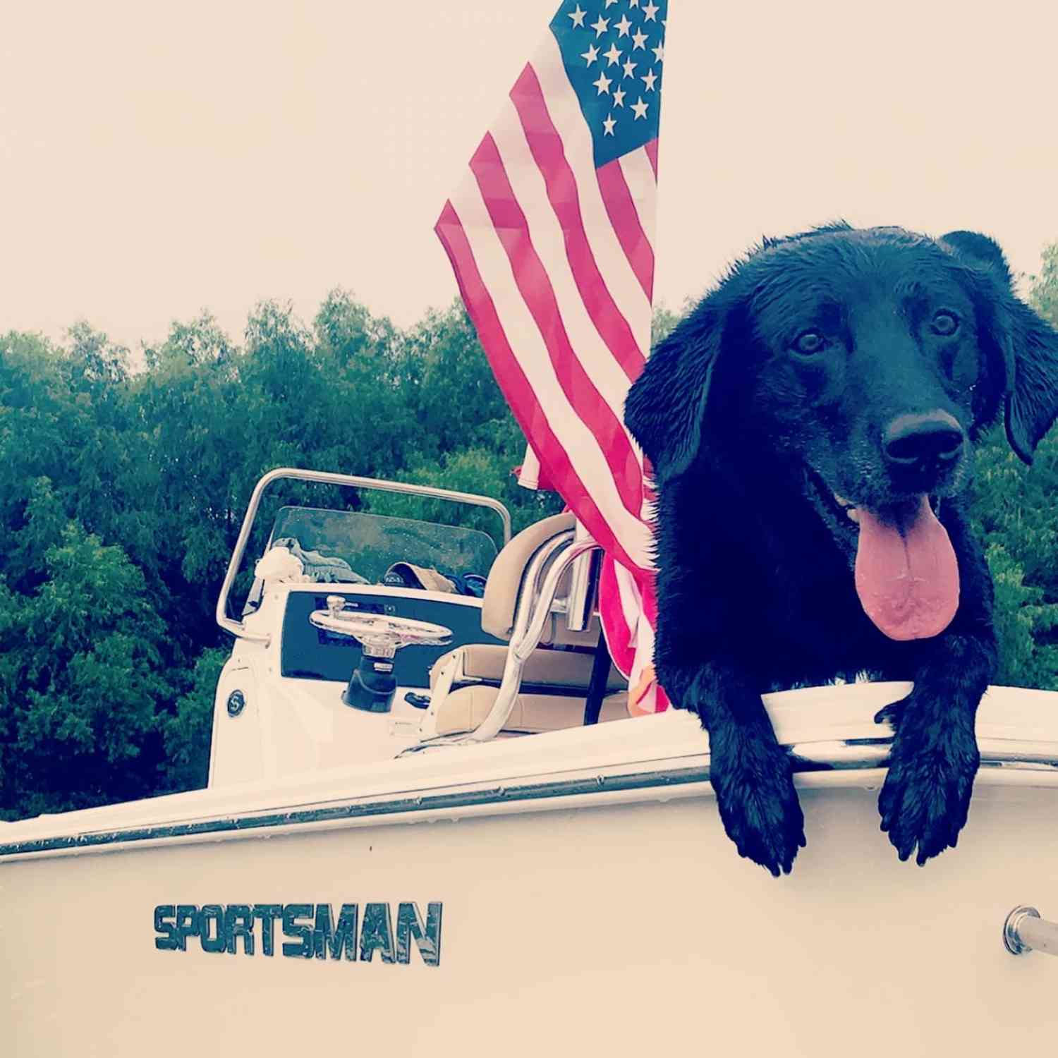 Beaux enjoying a river day in south Louisiana