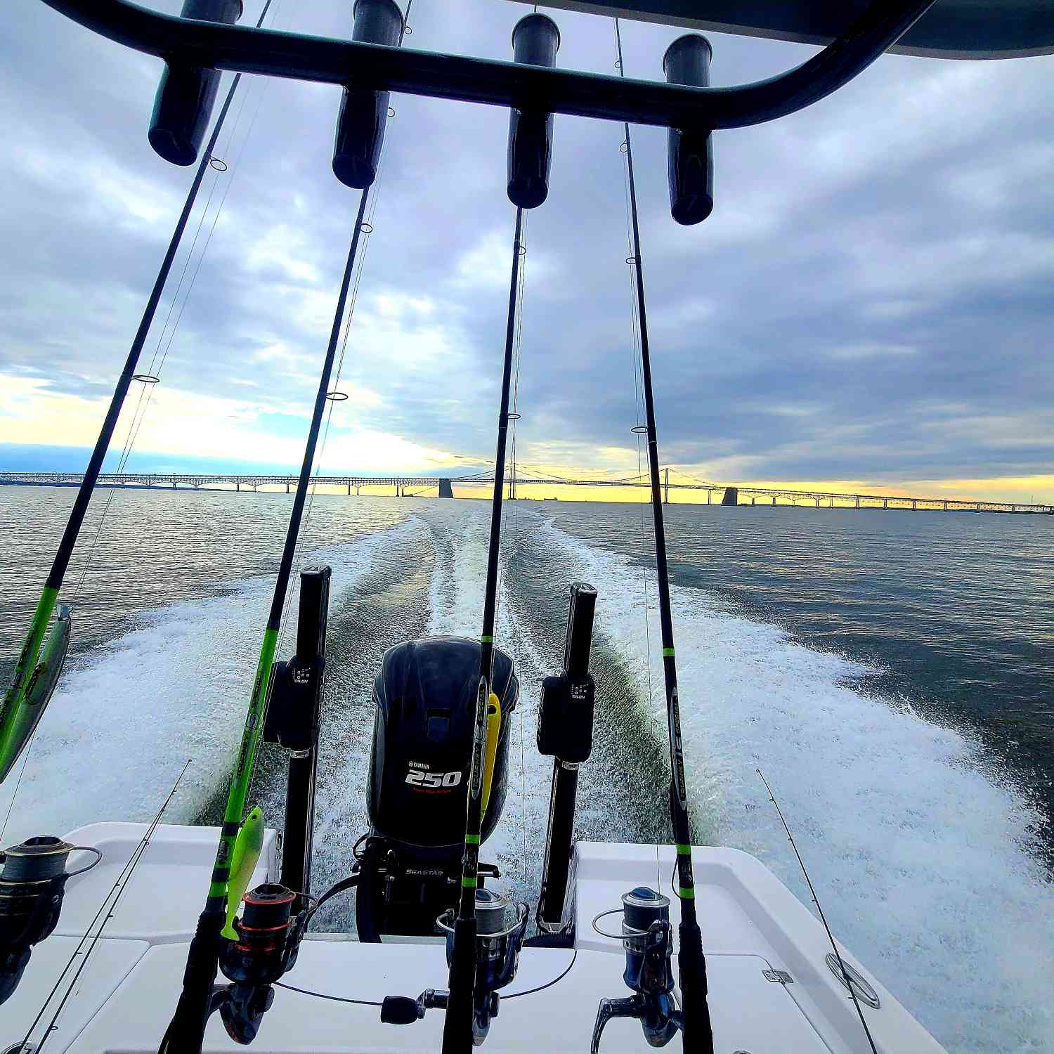 Heading up the bay where we ended up catching a 46" Striper on light tackle and releasing her.