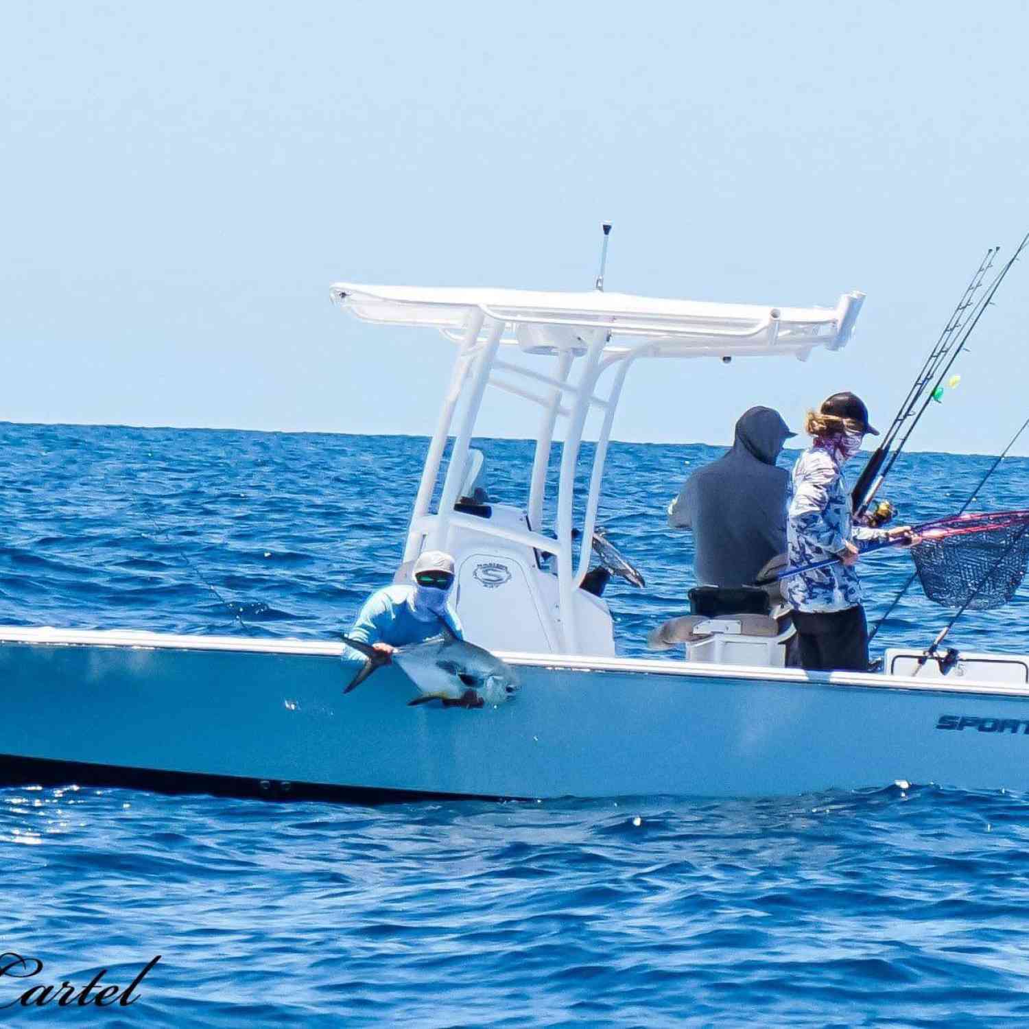 Permit on a crab