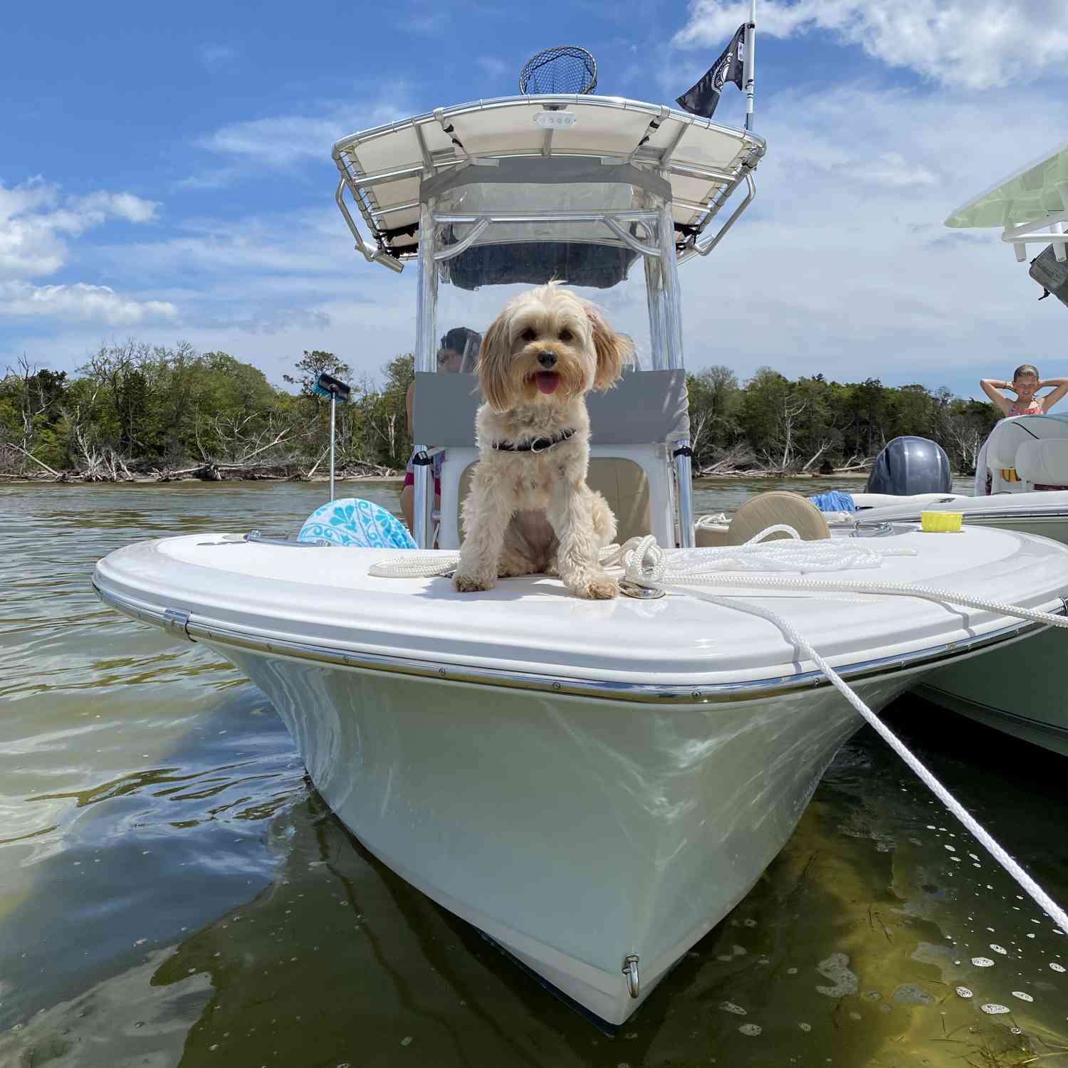 Out on the sand bar hanging out!