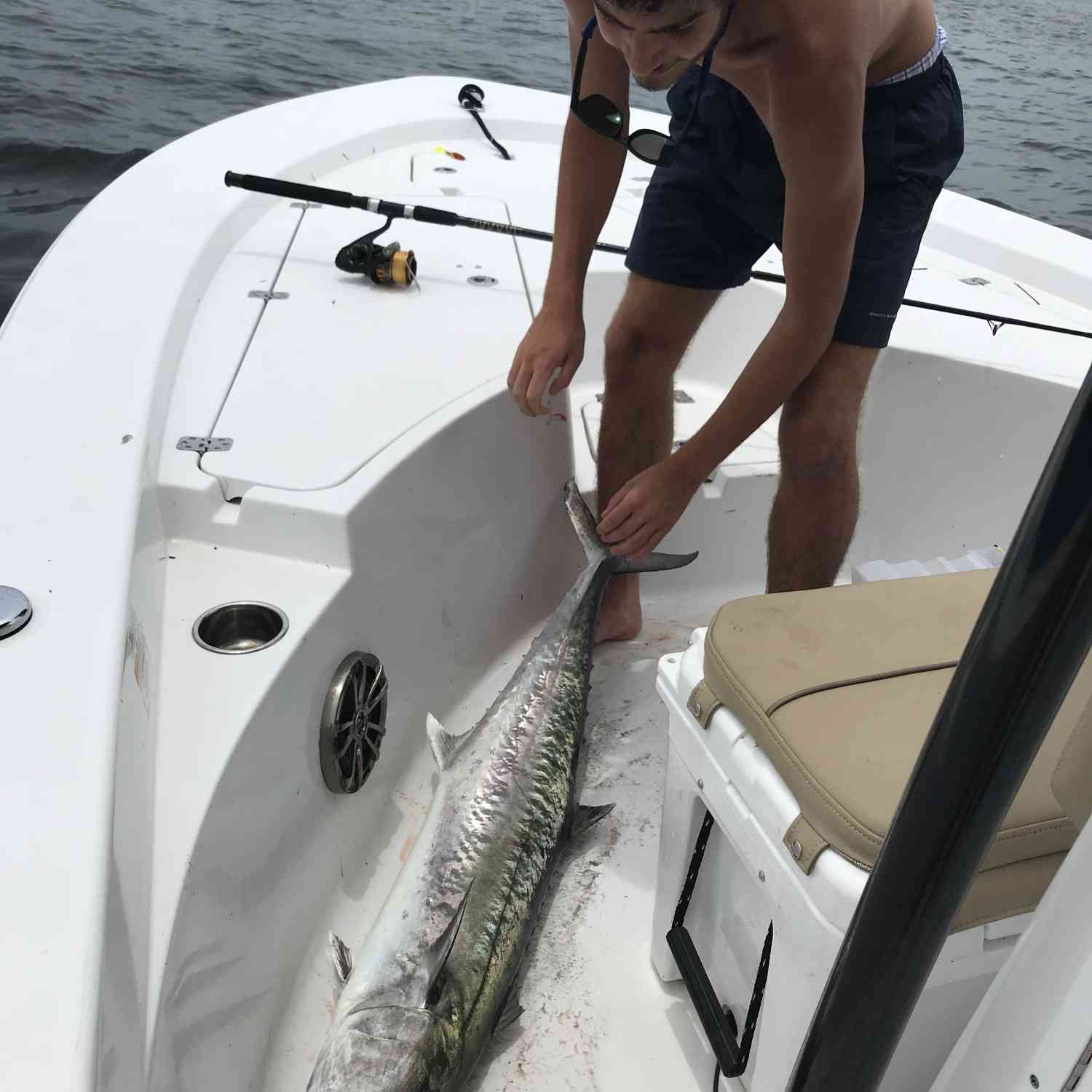 Caught big kingfish off the coast of Hilton Head Island.