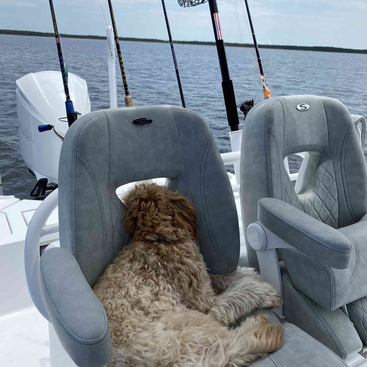 Ryder chillin on the boat!