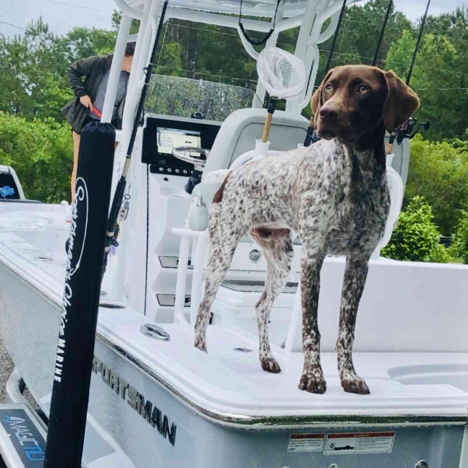 Koda impatiently waits for the family to load up and head out to catch some groceries!!