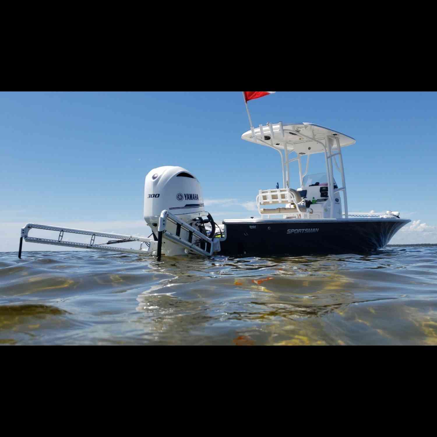 Scallop season is open on the Florida gulf coast. Sportsman 247 powered by Yamaha 300 and Power...