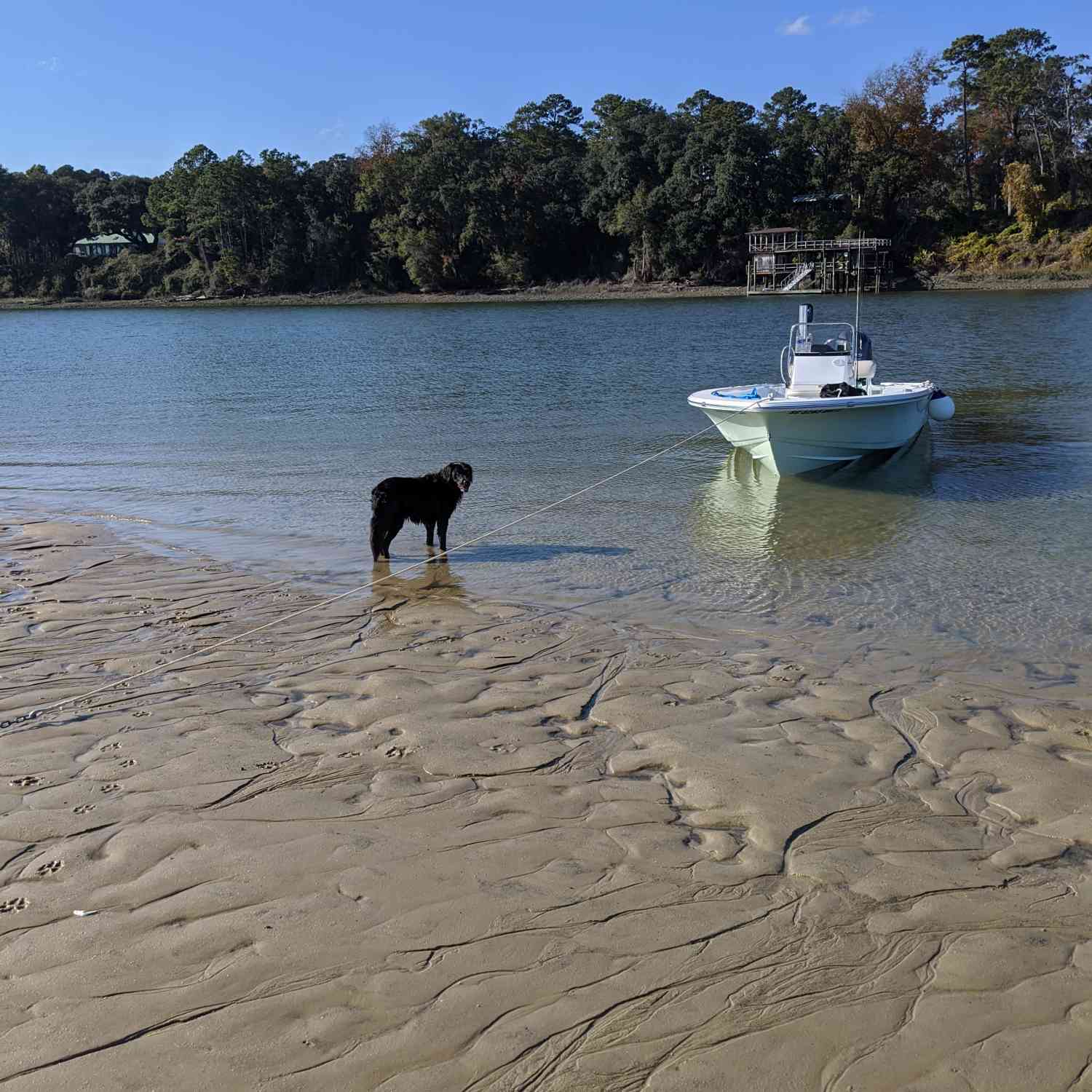 Dog days of boating taken on our sportsman during low tide