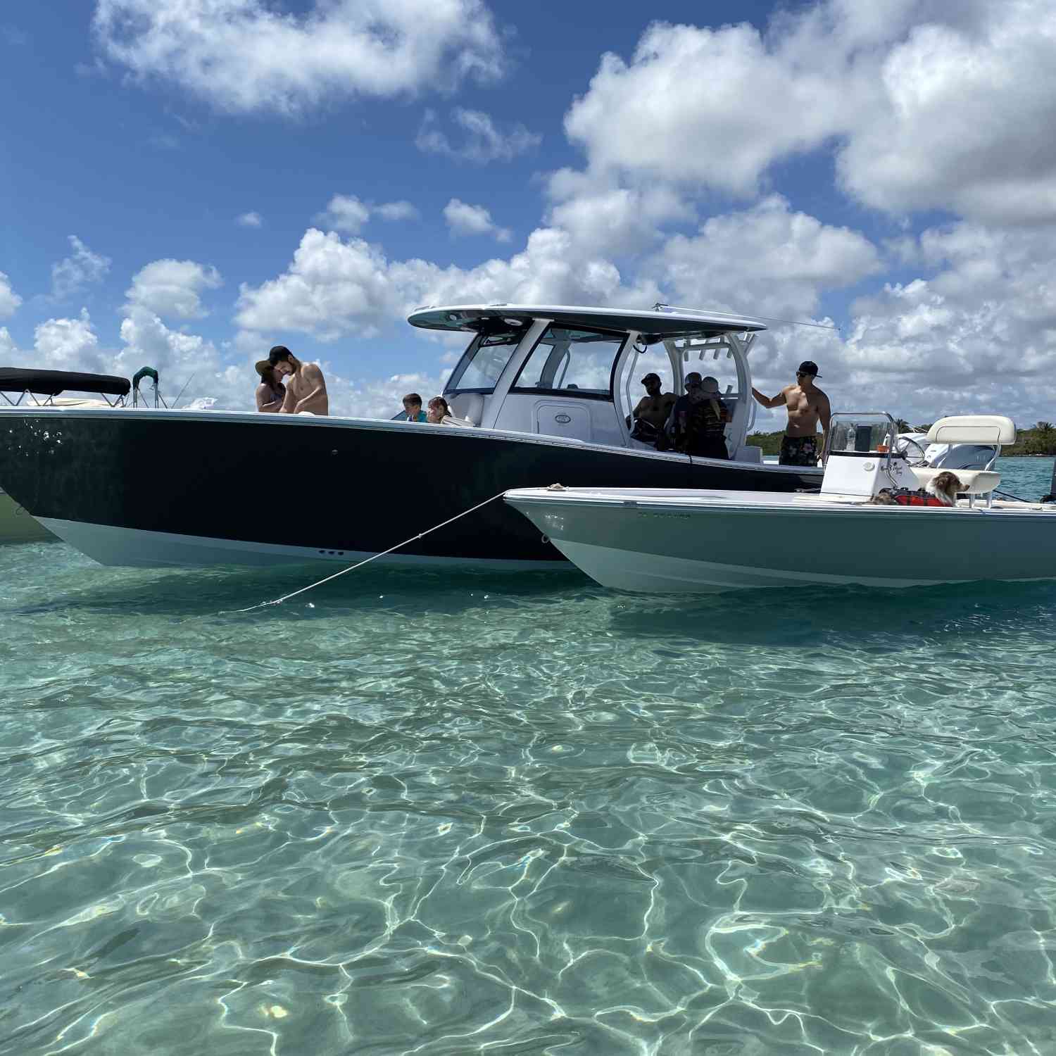 First Sportsman 35 at Haulover sandbar. Convinced the ol' boy to buy a sportsman at the Miami B...