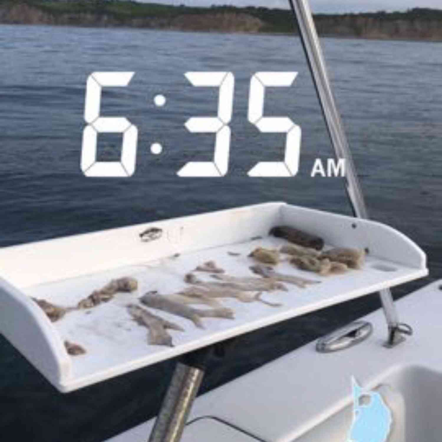 Title: Early Bird gets the Worm! - On board their Sportsman Open 212 Center Console - Location: Block Island, RI. Participating in the Photo Contest #SportsmanMay2020