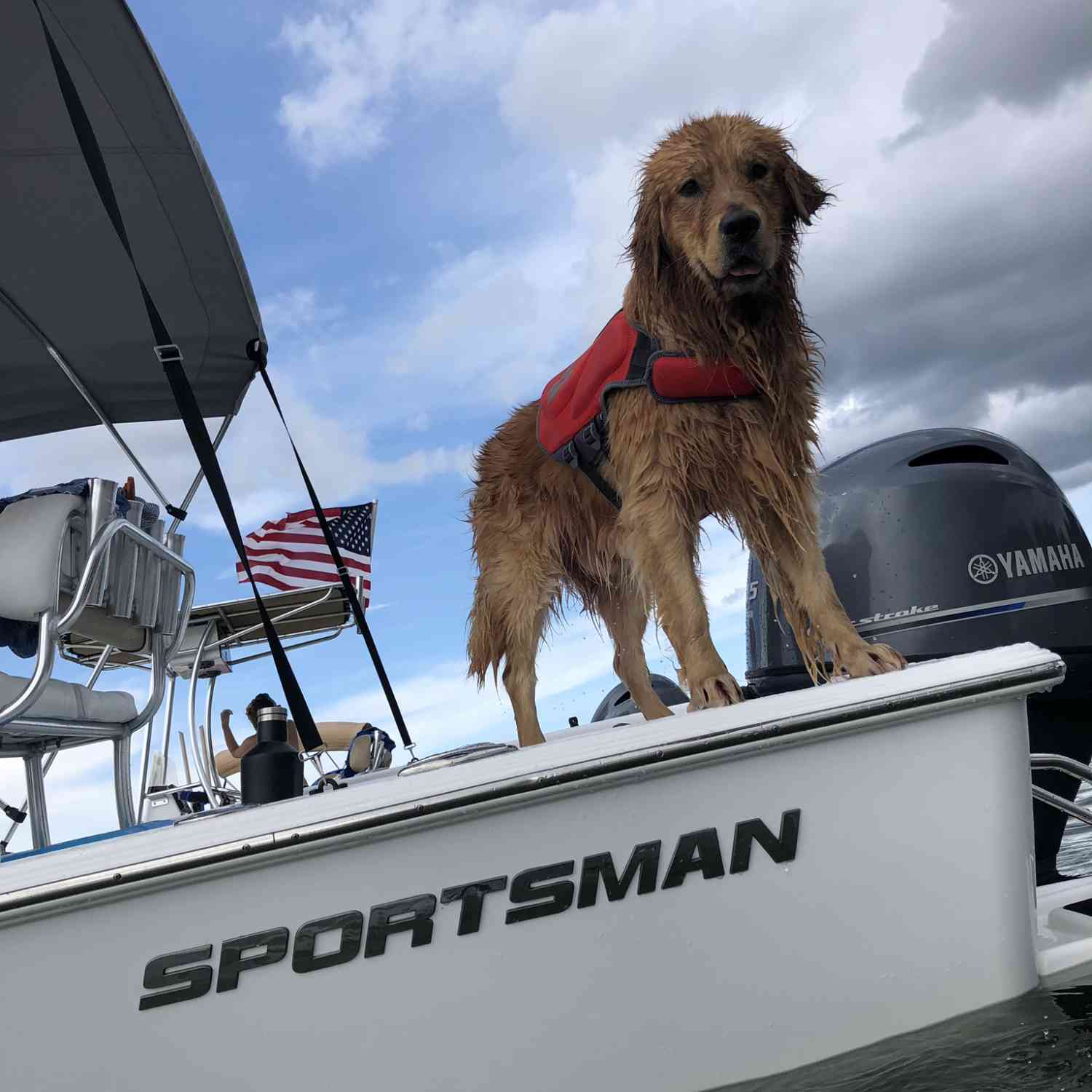 Parker loves riding on the boat, and he wears his jacket for safety.