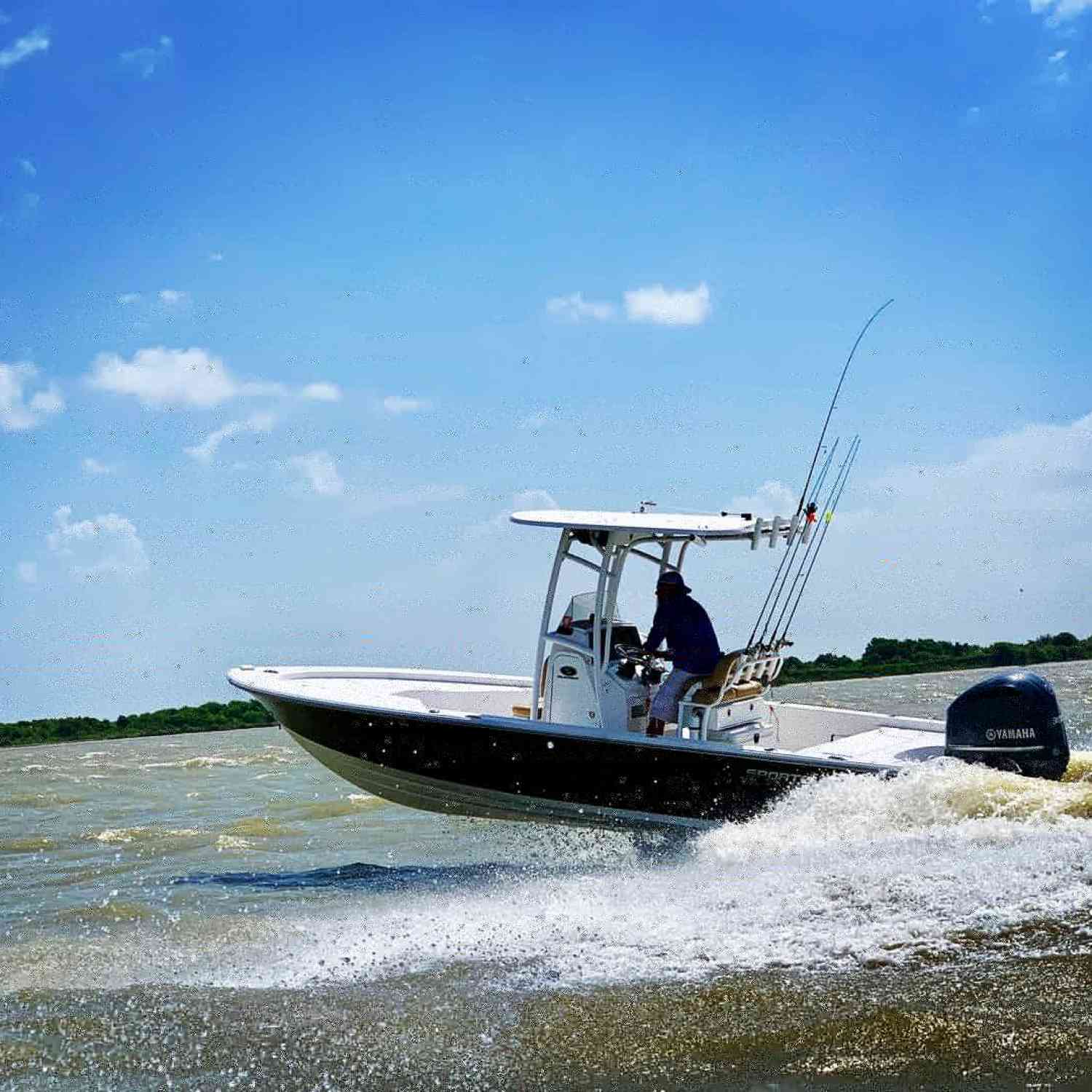 Taking on a wake from a passing tug boat. She handled it very well.