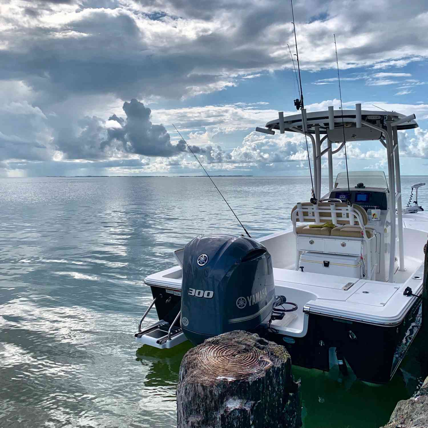 Found a old rusted out rig that was the home of some very lg sheepshead and trout.