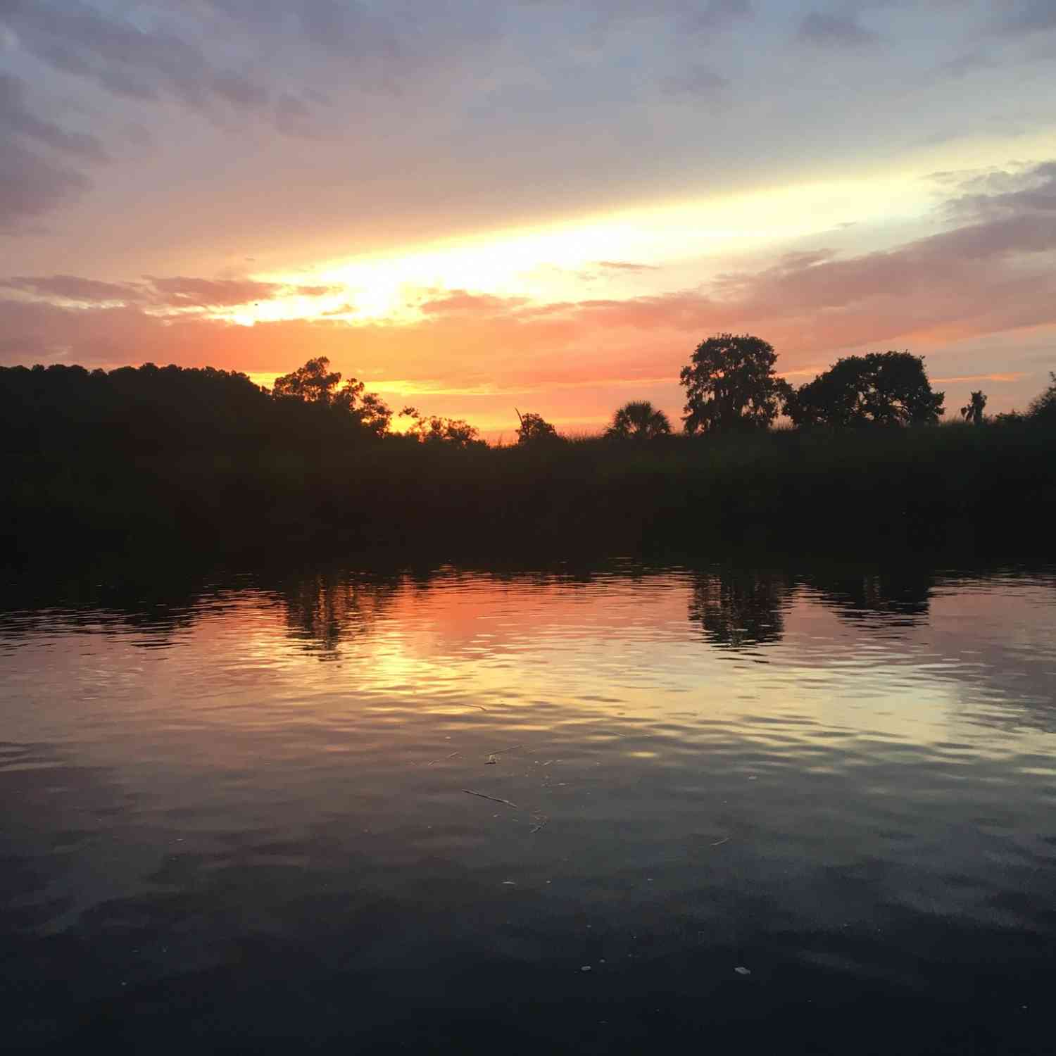 Beautiful sunset behind Magnolia Gardens.