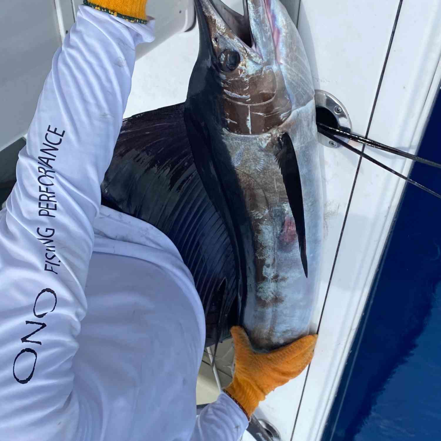 Our First Sailfish on our 2020 282 TE