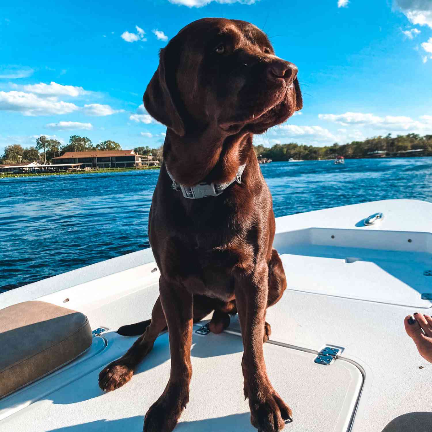 Tebow at the helm on a gorgeous Sunday morning