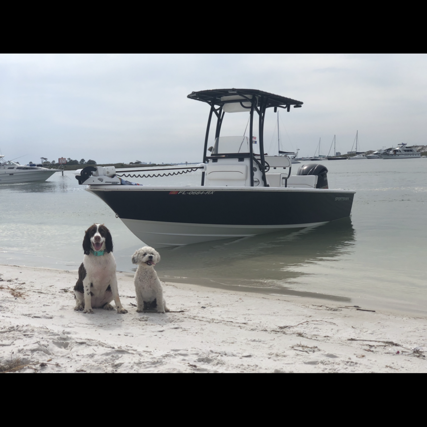 Family day at the beach!