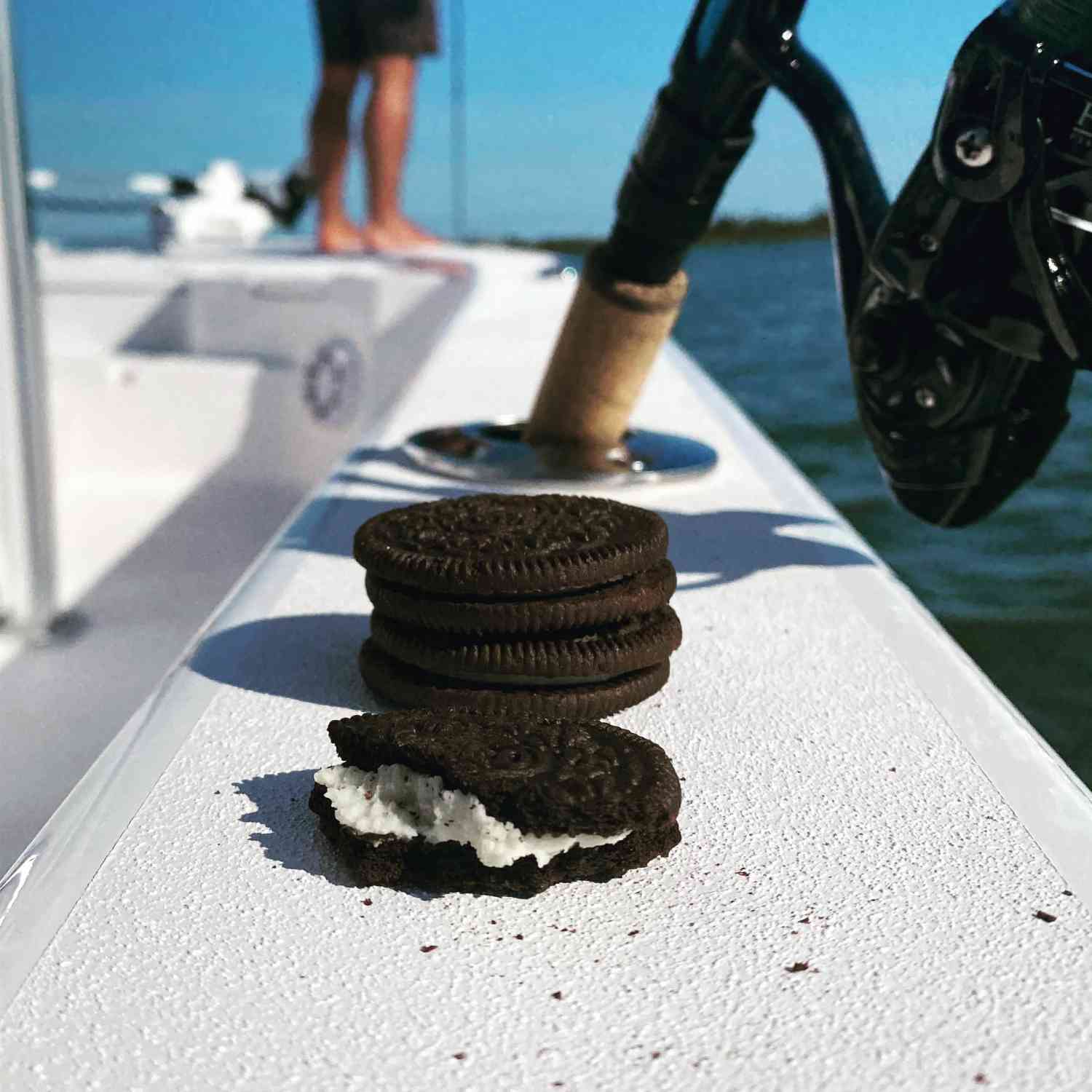 Incoming tide snacks.