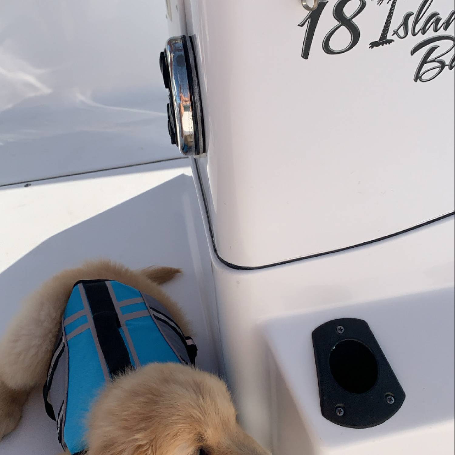 Tiller’s First Ride. First of many boat rides for this pup!