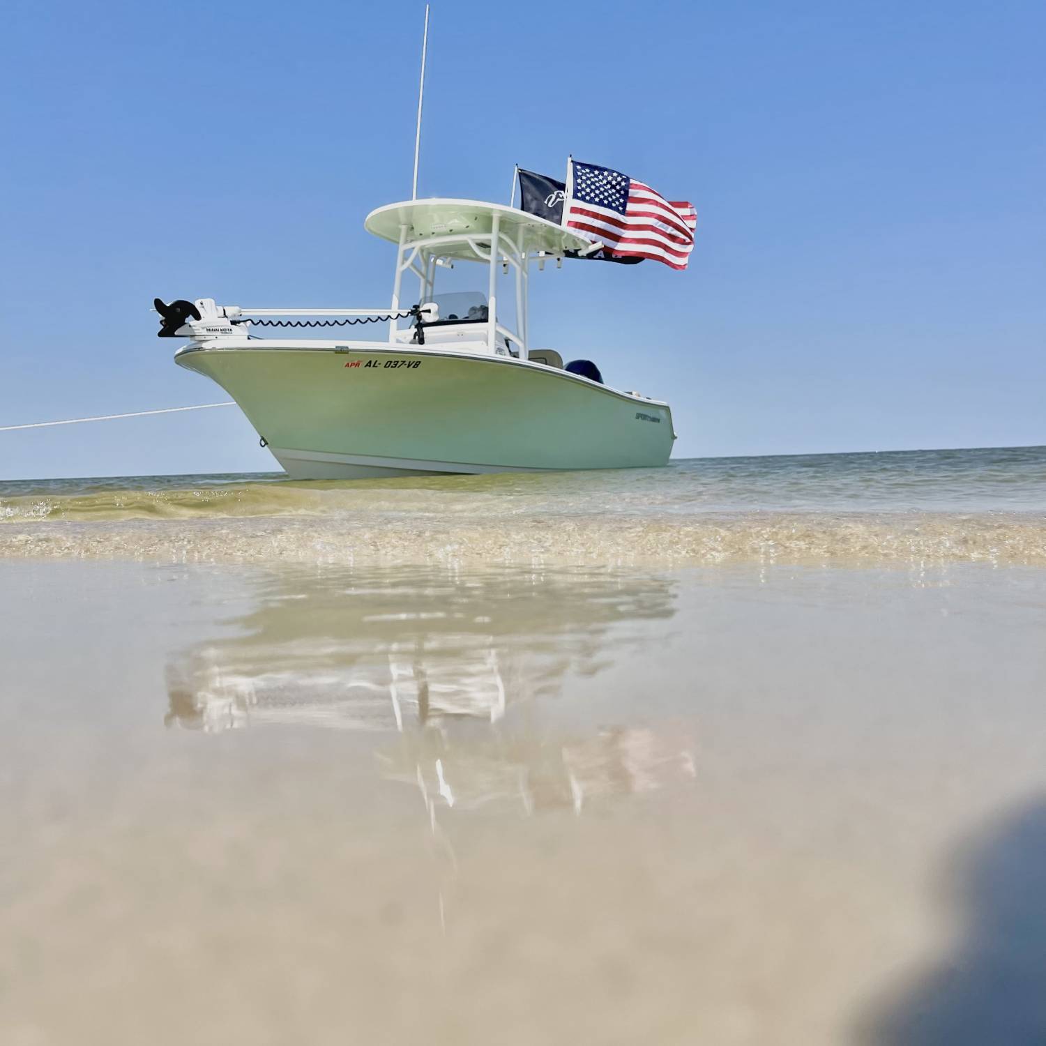 Just enjoying the beautiful weather on the west end of Dauphin Island