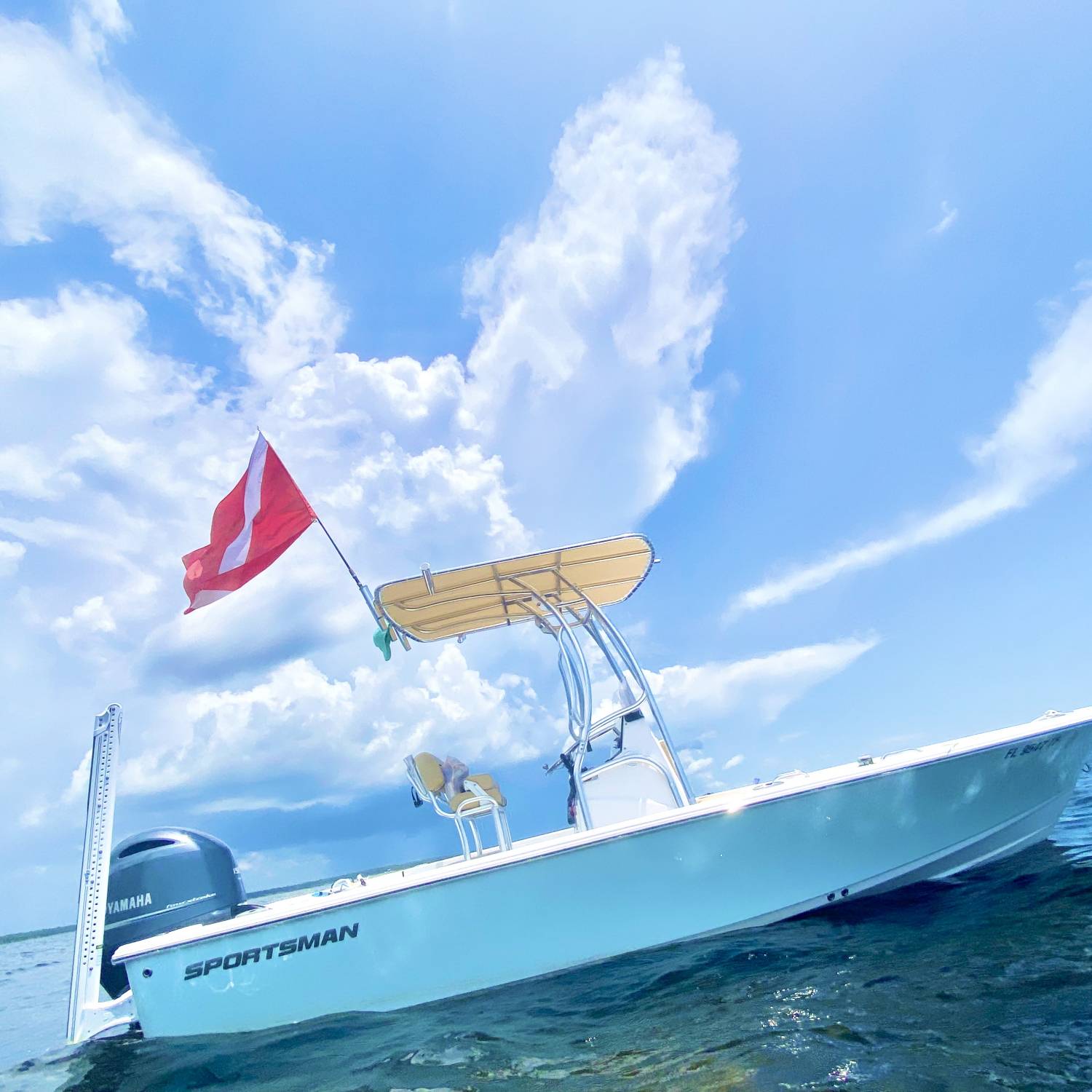 Scalloping in the Hatch!