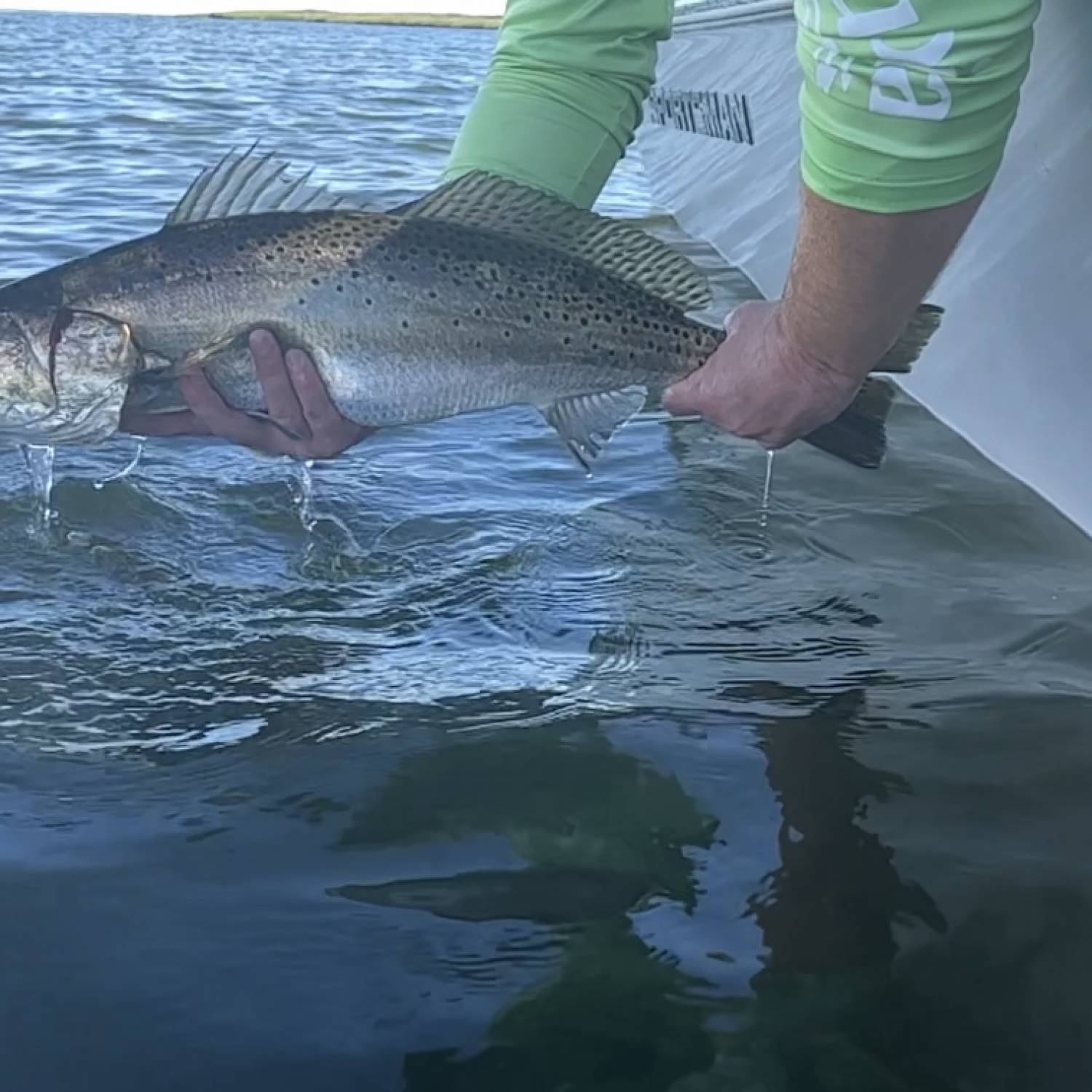 Title: Topwater Trout Release - On board their Sportsman Masters 227 Bay Boat - Location: Pamlico sound. Participating in the Photo Contest #SportsmanJuly