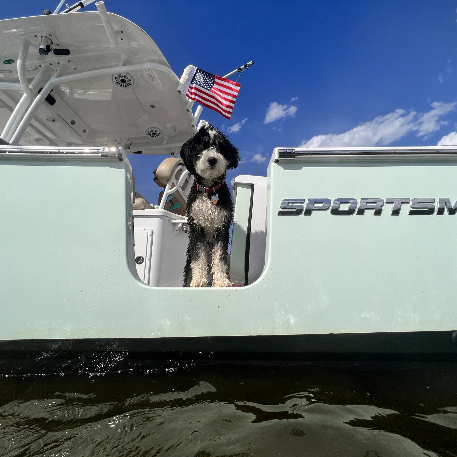 Our friends dog taking advantage of the standard “doggy door” on our 252.