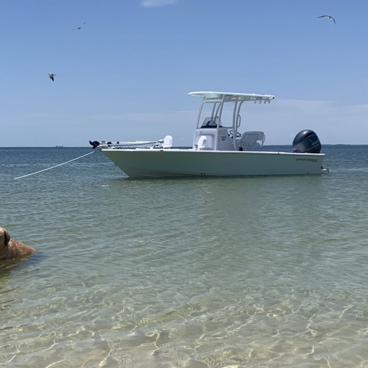 Title: First Weekend Out on the Water! - On board their Sportsman Masters 227 Bay Boat - Location: Dog Island, FL. Participating in the Photo Contest #SportsmanJune