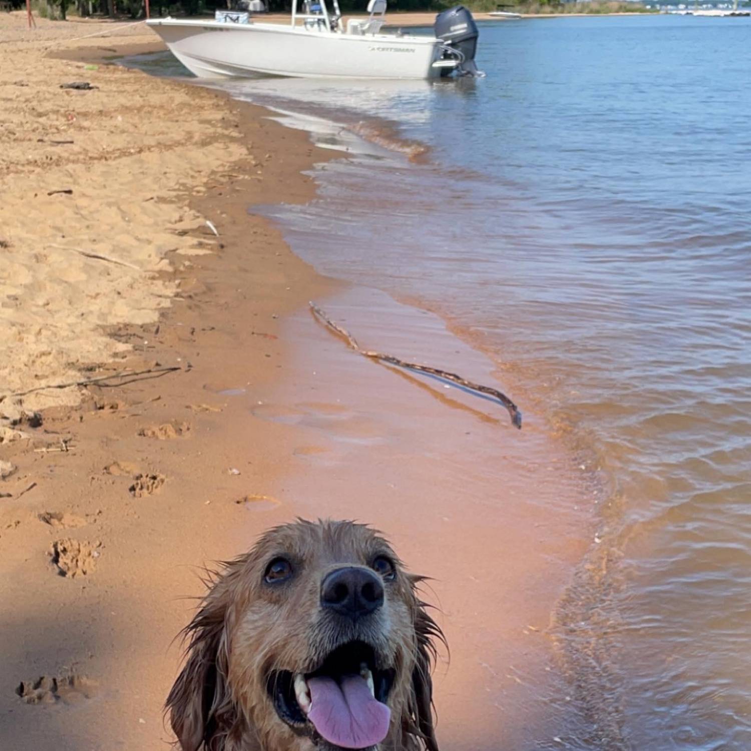 Carly enjoys her visits to Hart Miller Island in her Sportsman so she can swim and play ball.