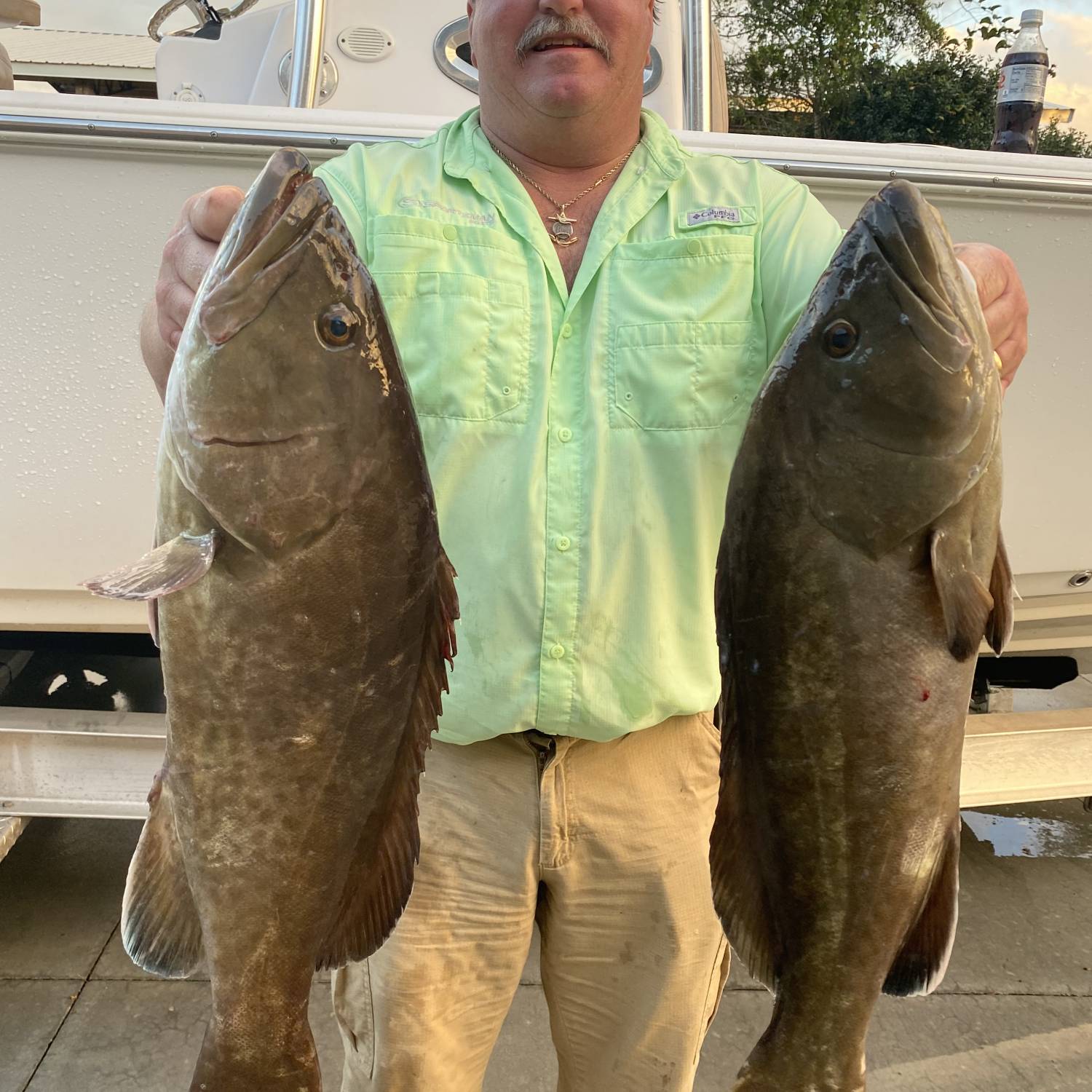 Snapper season

Red fishing 
Grouper time