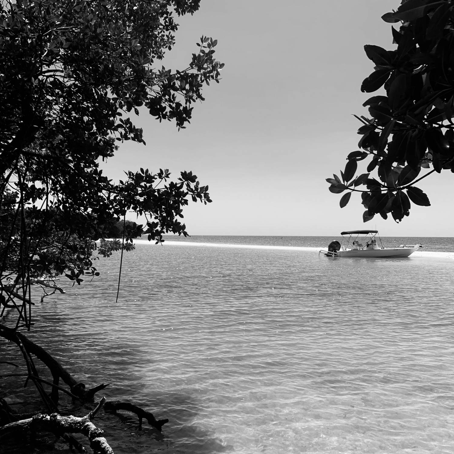 A weekend trip to Chokoloskee, kids wanted to explore a beach. Found the perfect pic!