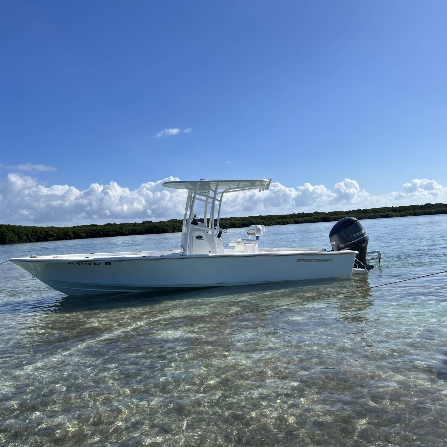 Hanging with the budddys at the sandbar