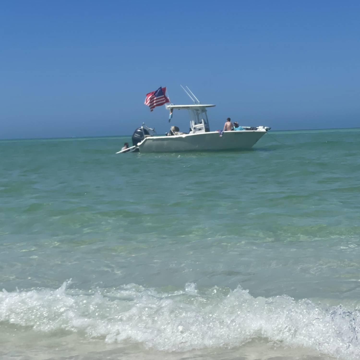 Stopped at an island to find sand dollars and other fun things in the beautiful clear water !!