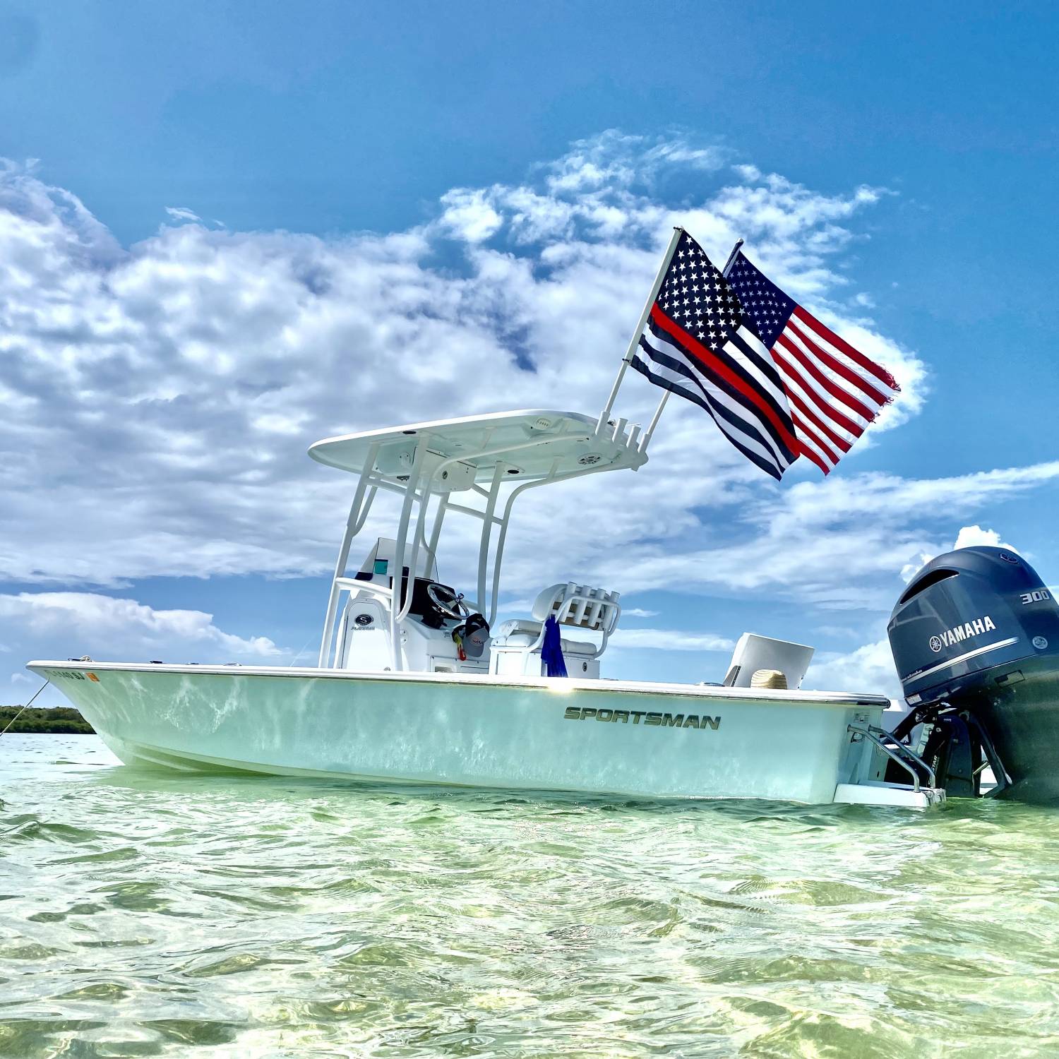 Hanging out at the sandbar