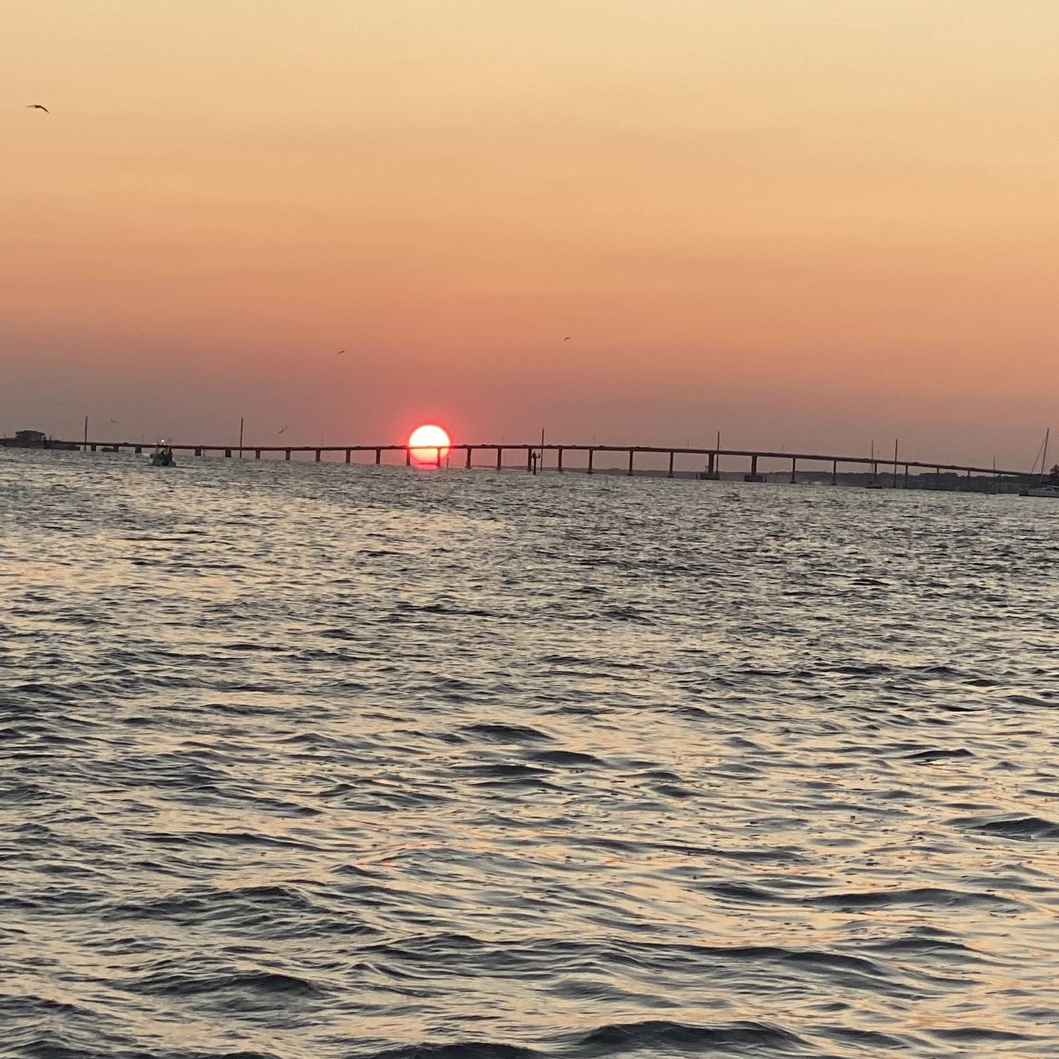 Sunset over the bridge taken from my masters 227